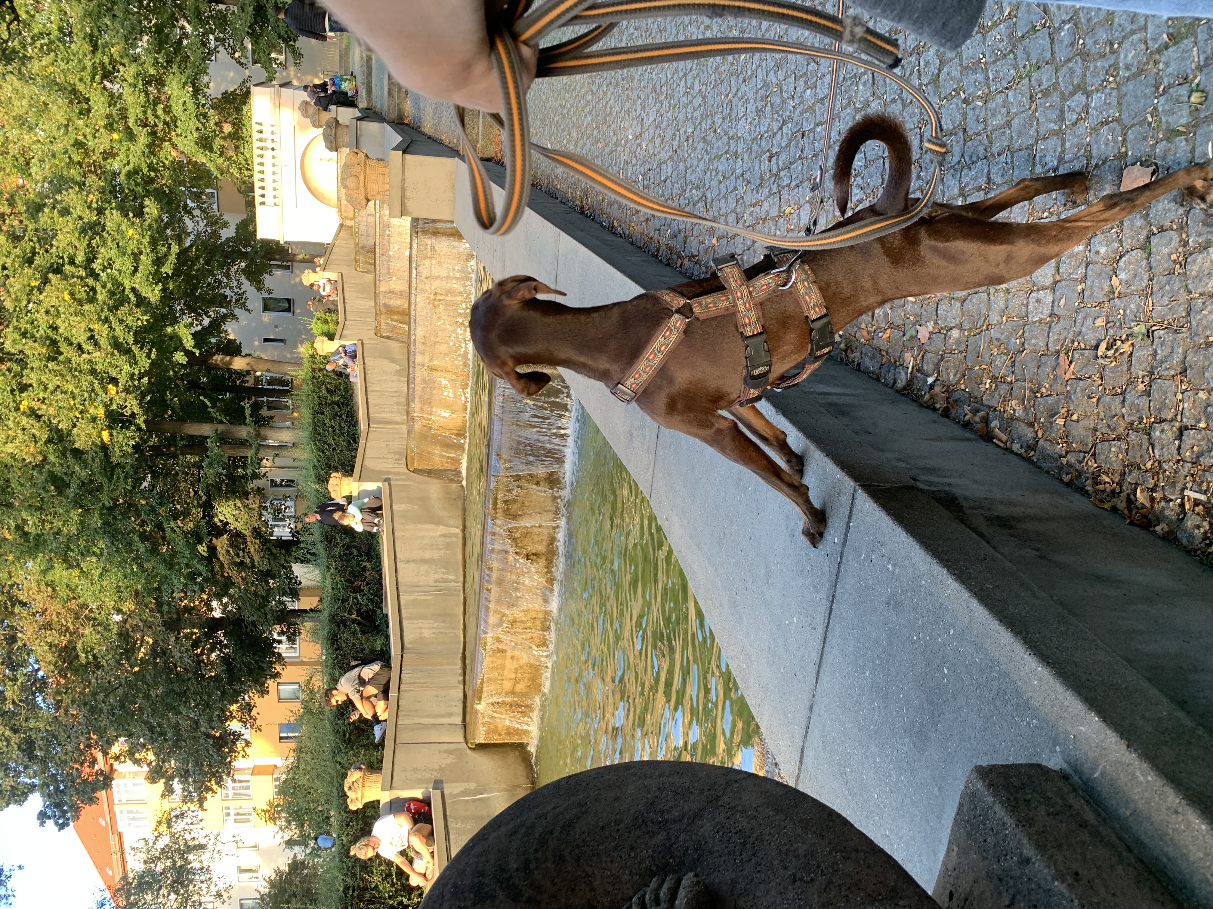 image-6