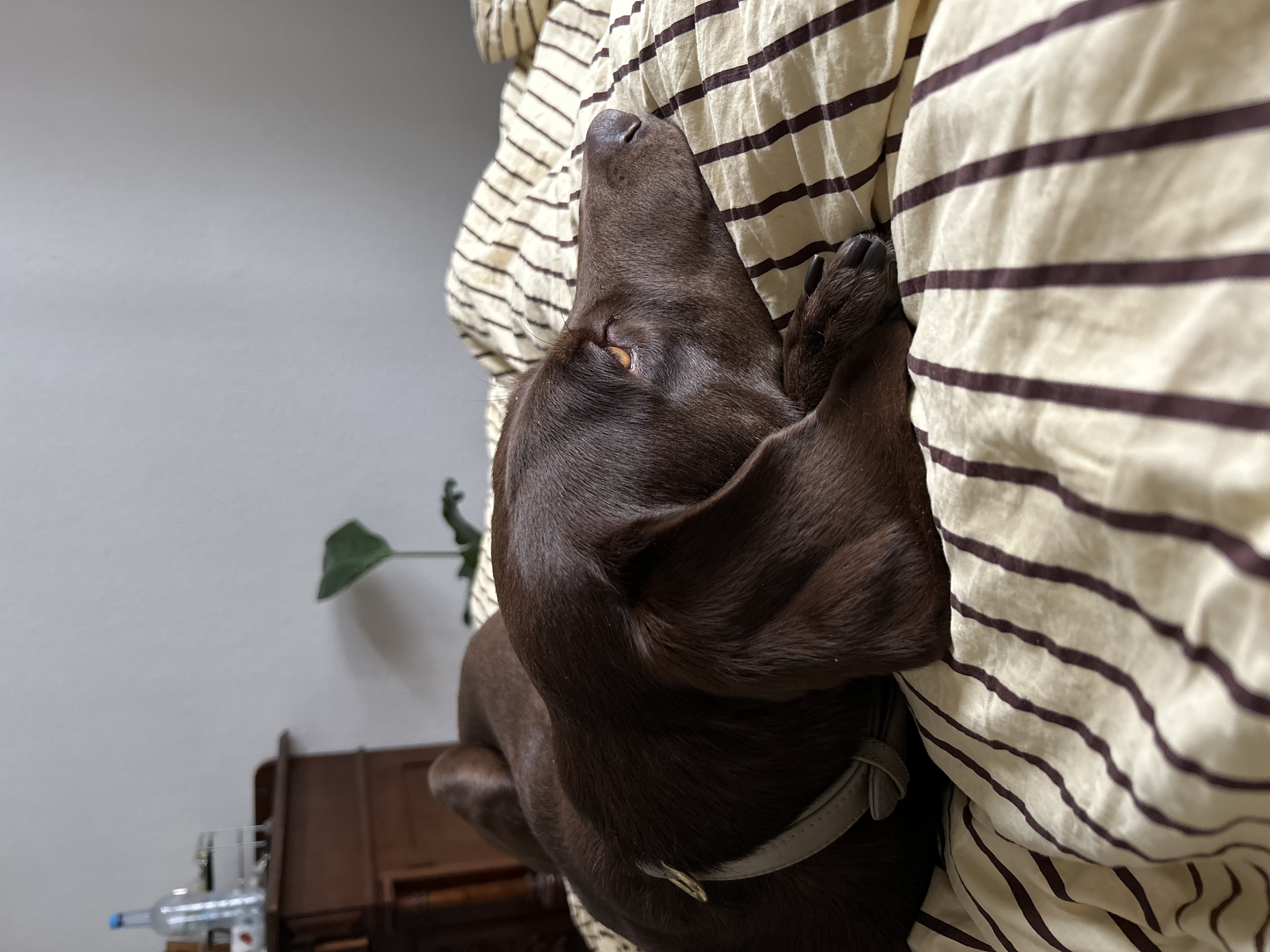 image-11
