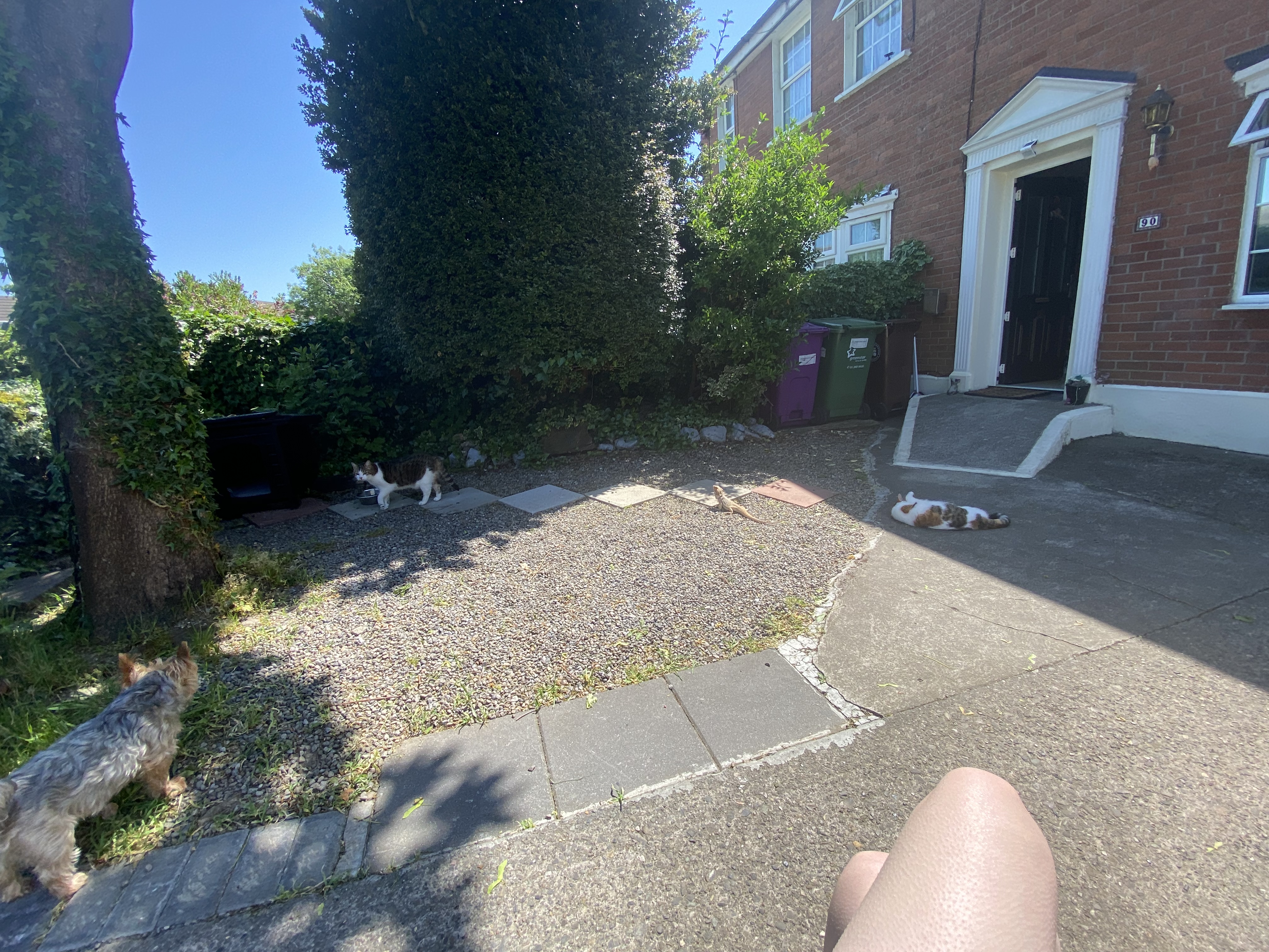 image-18