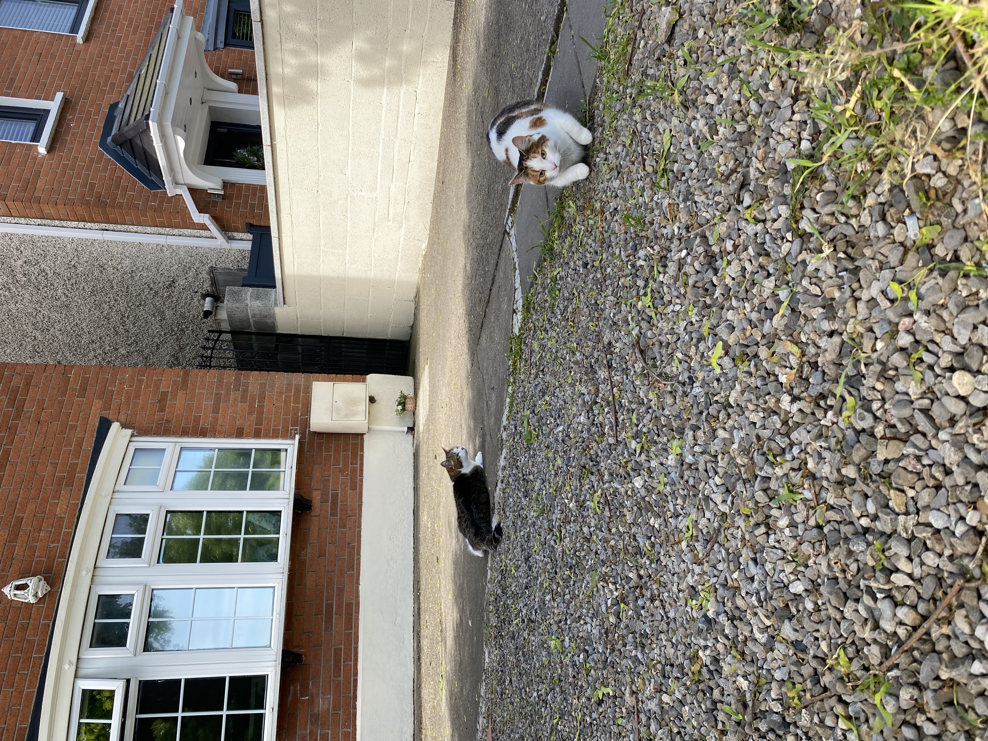 image-20
