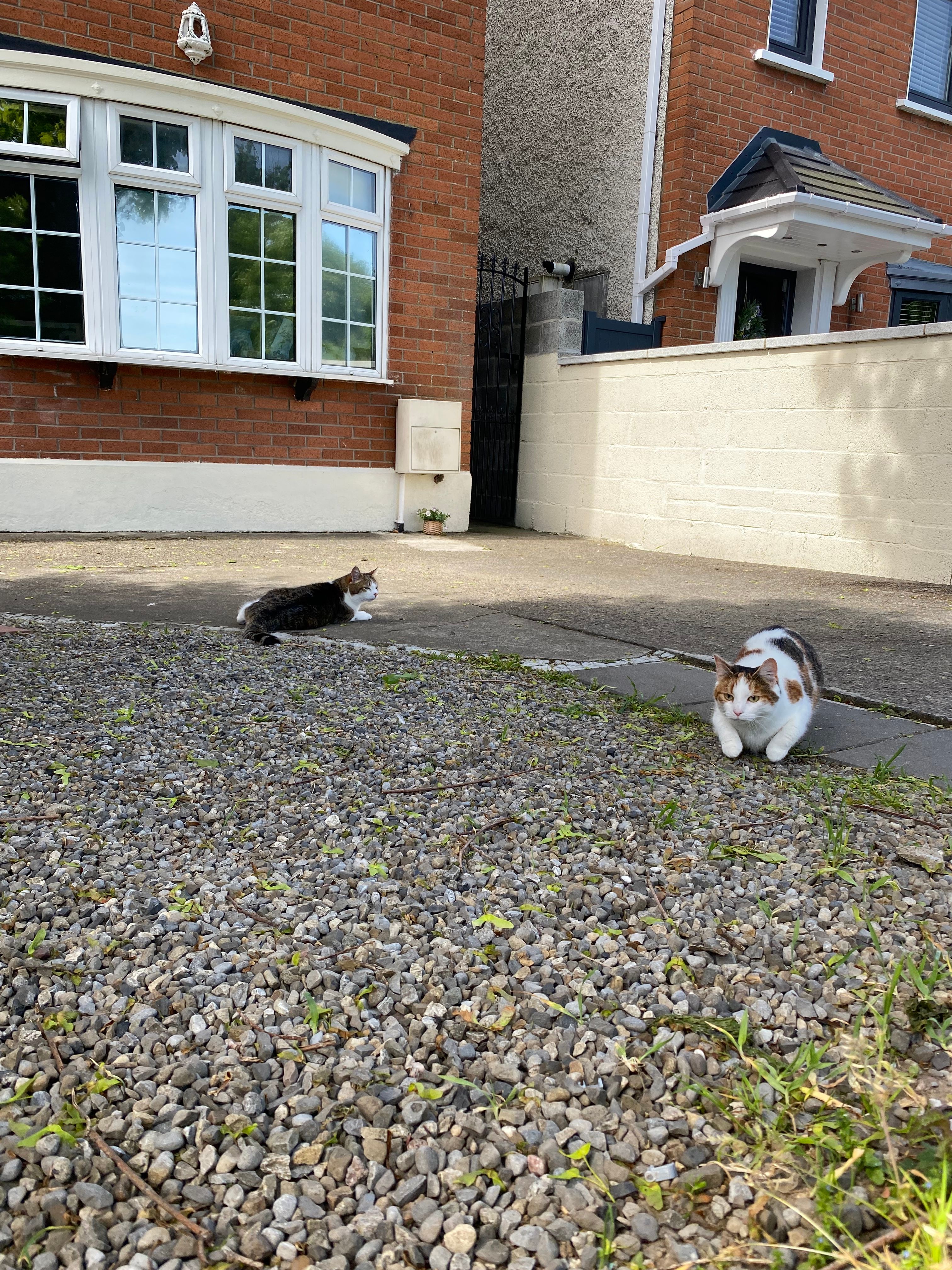 image-20