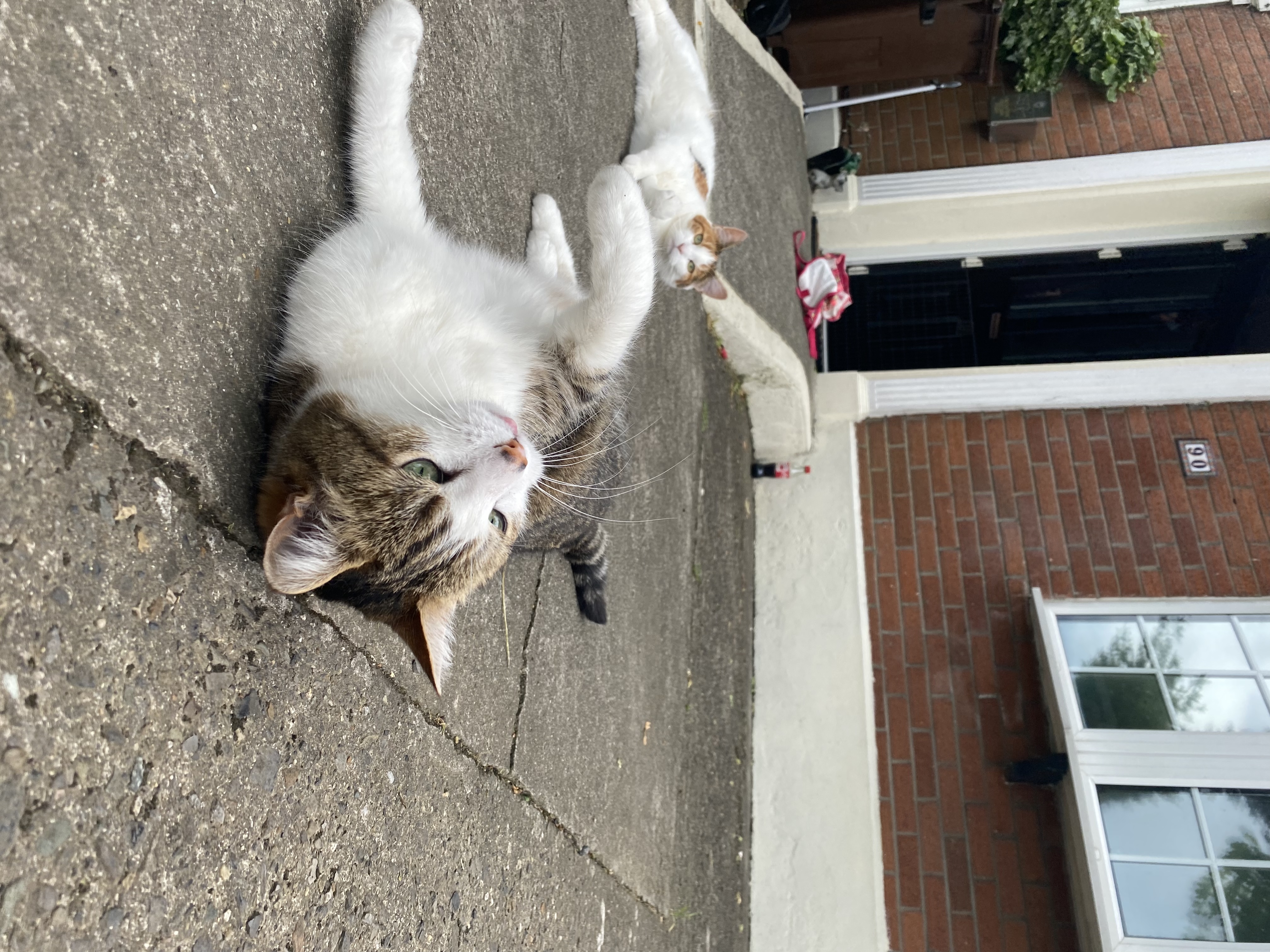 image-16