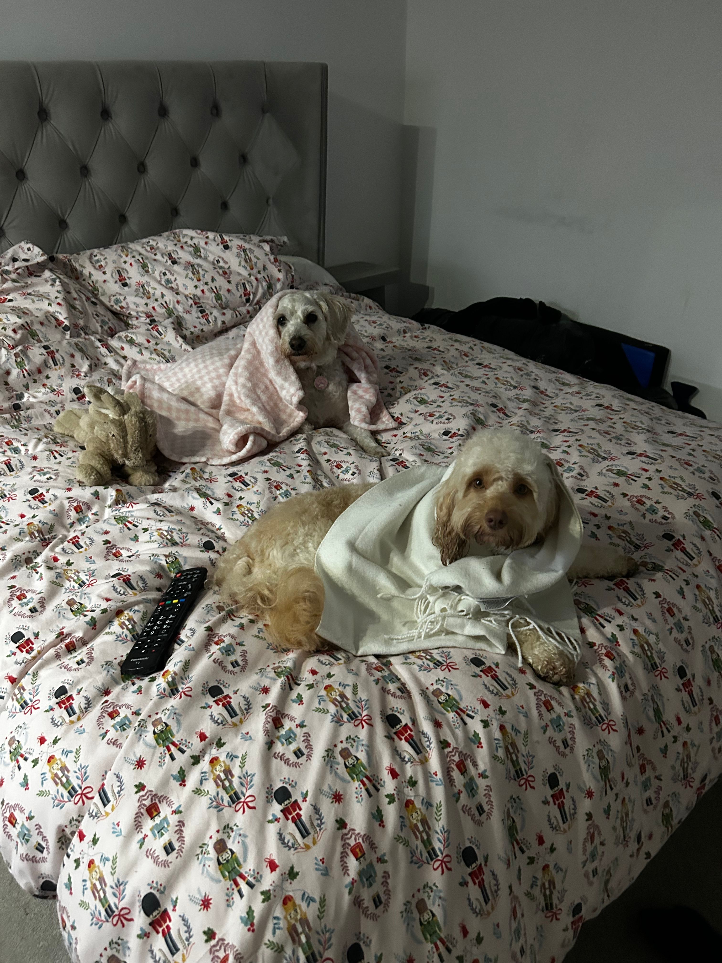 image-13