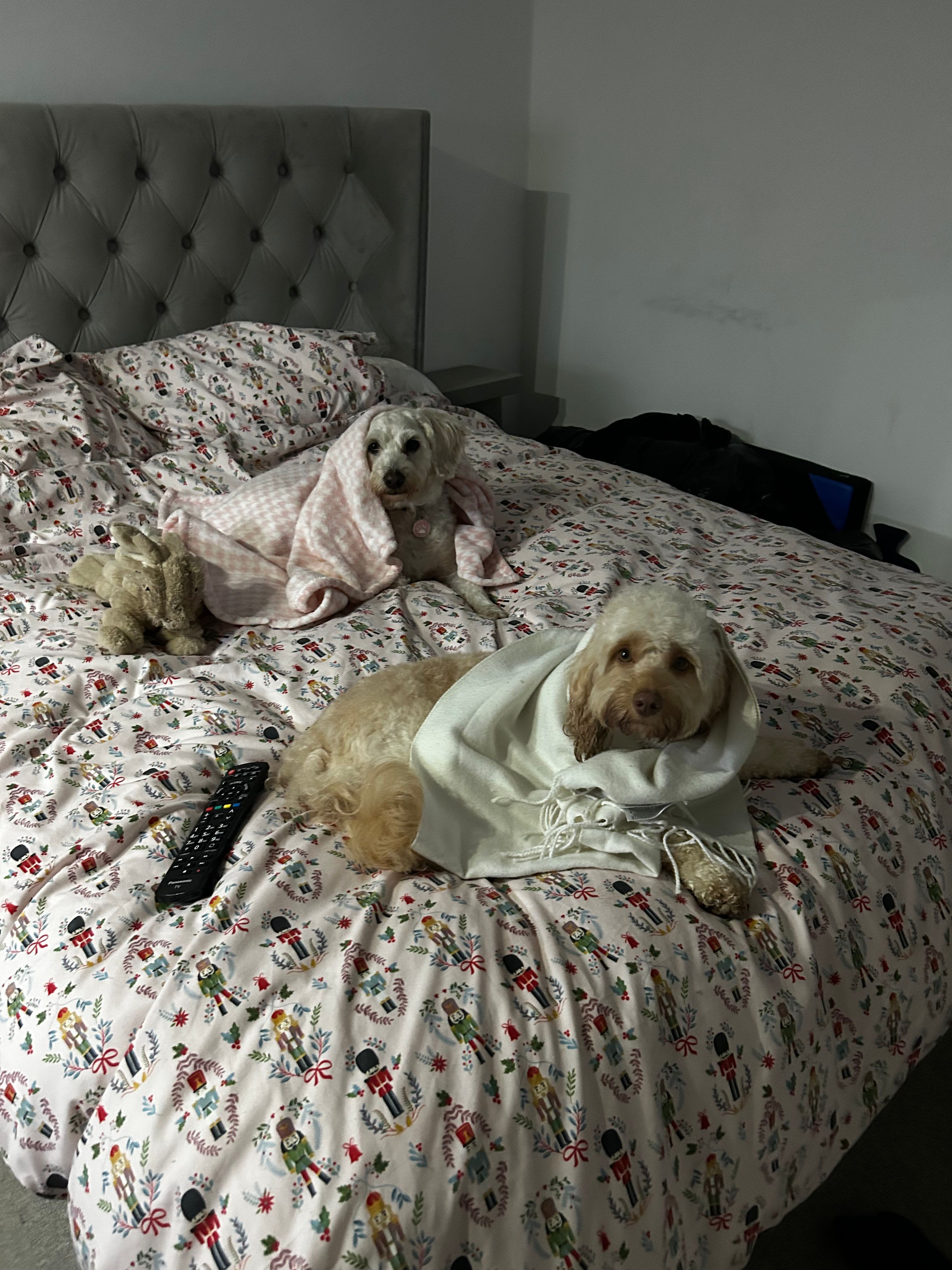 image-7