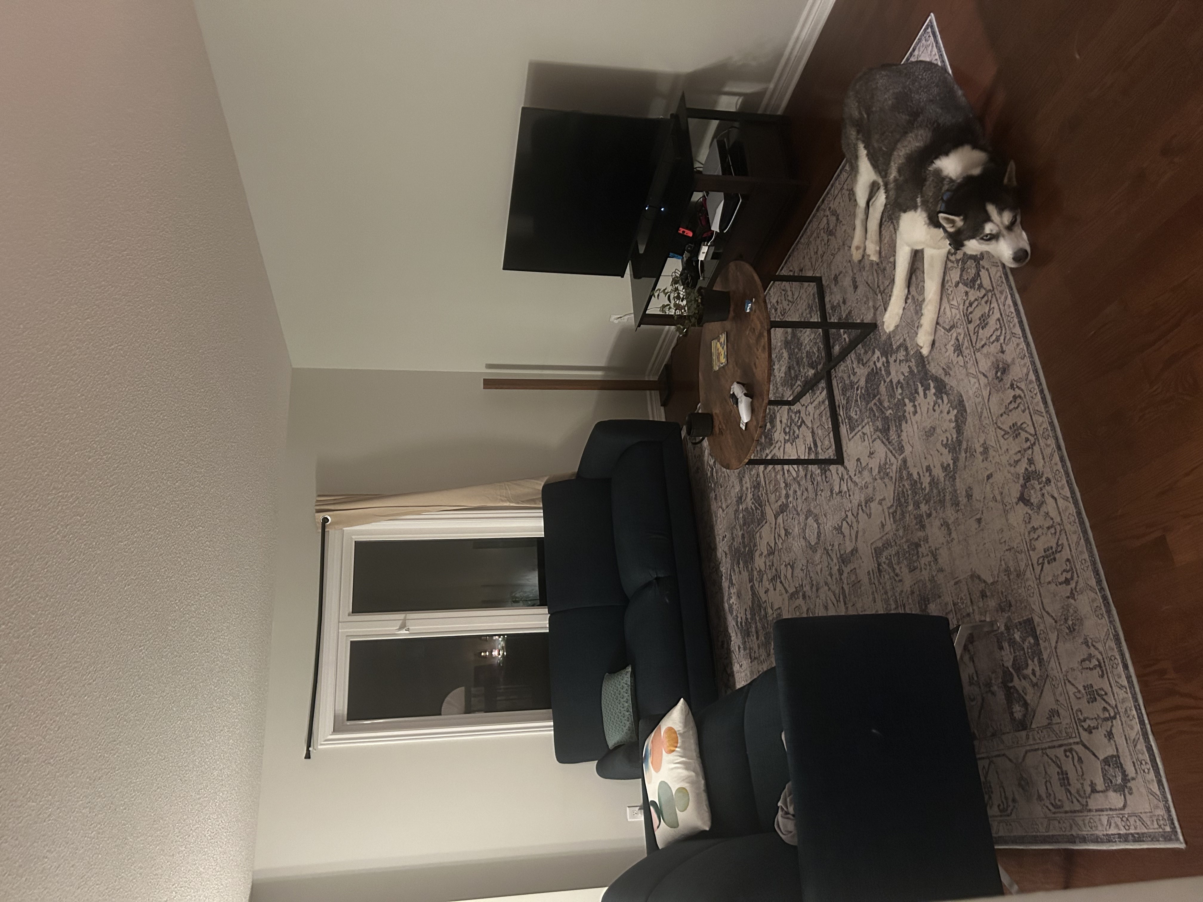 image-6