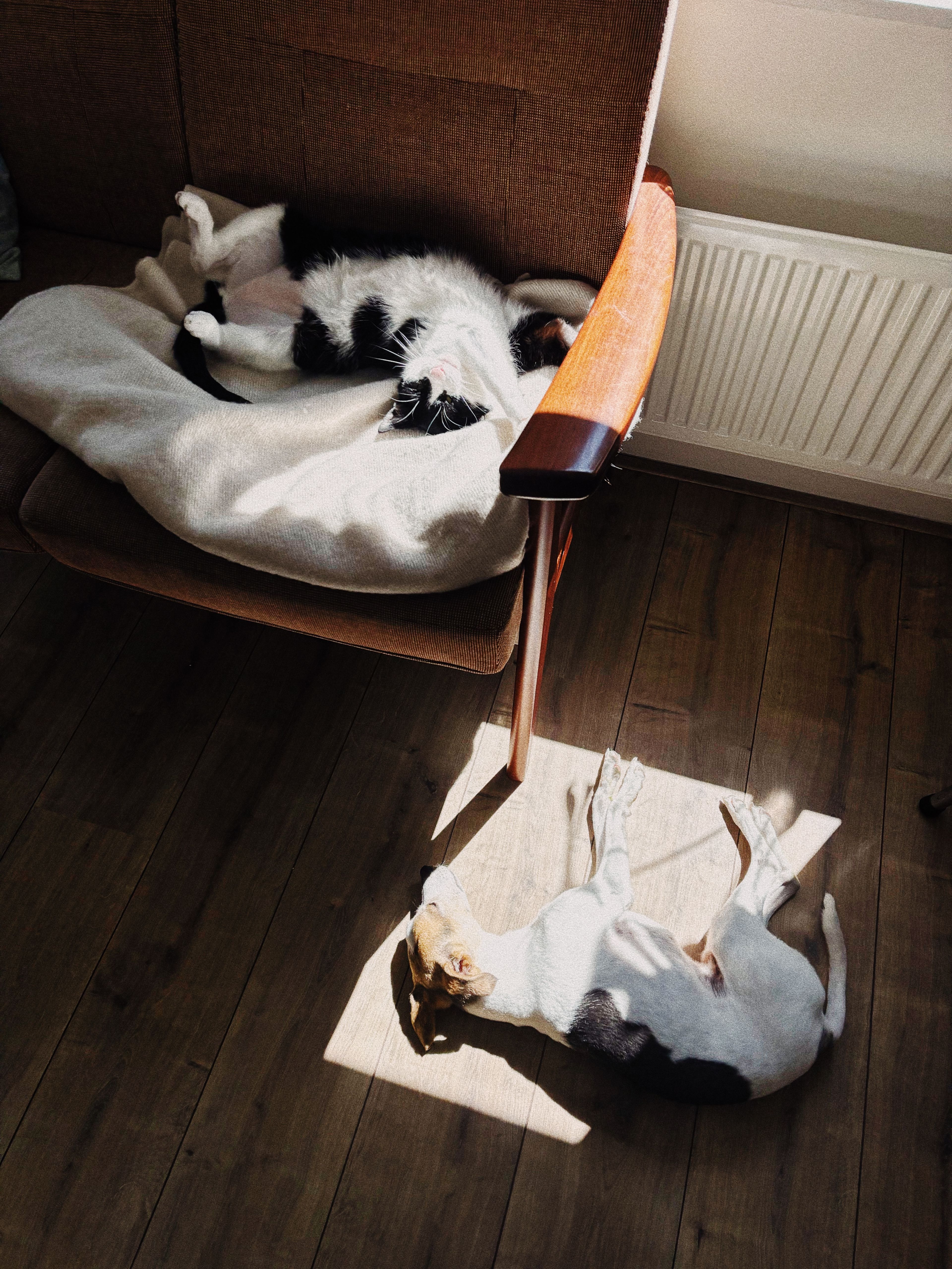 image-7
