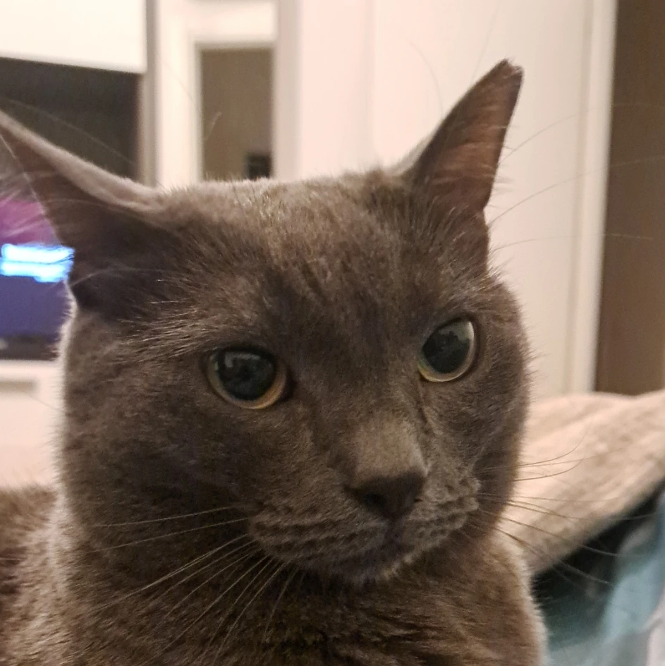 Miao