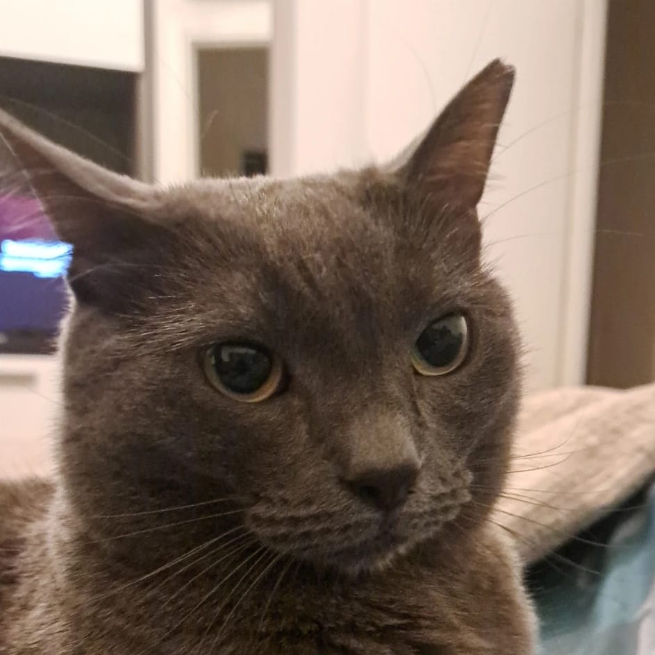 Miao