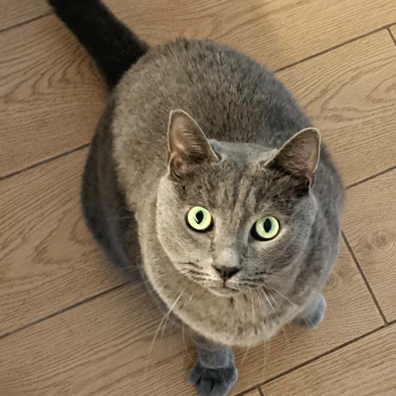 Pablo