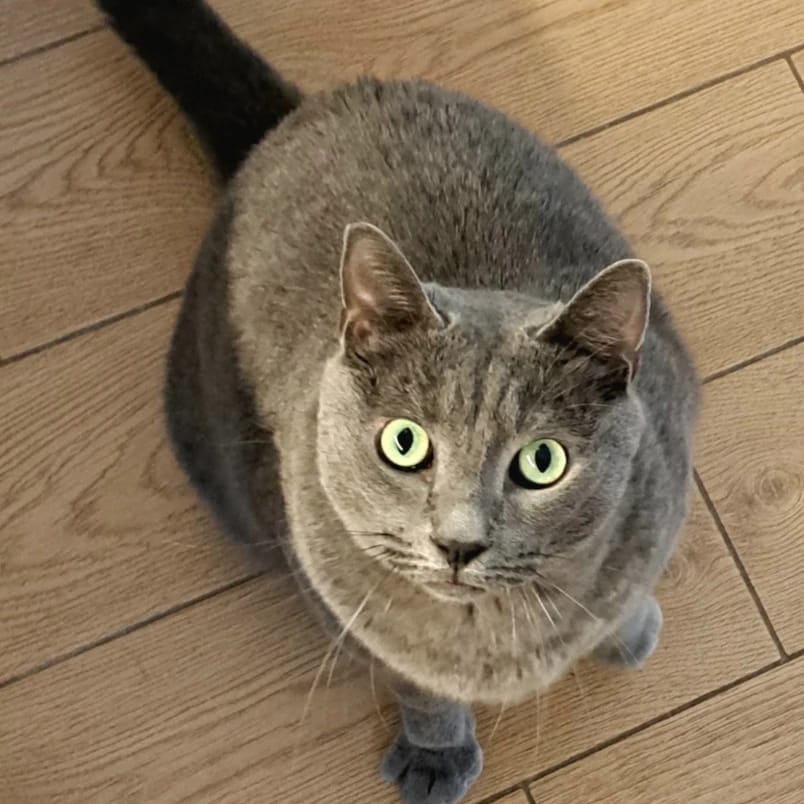 Pablo