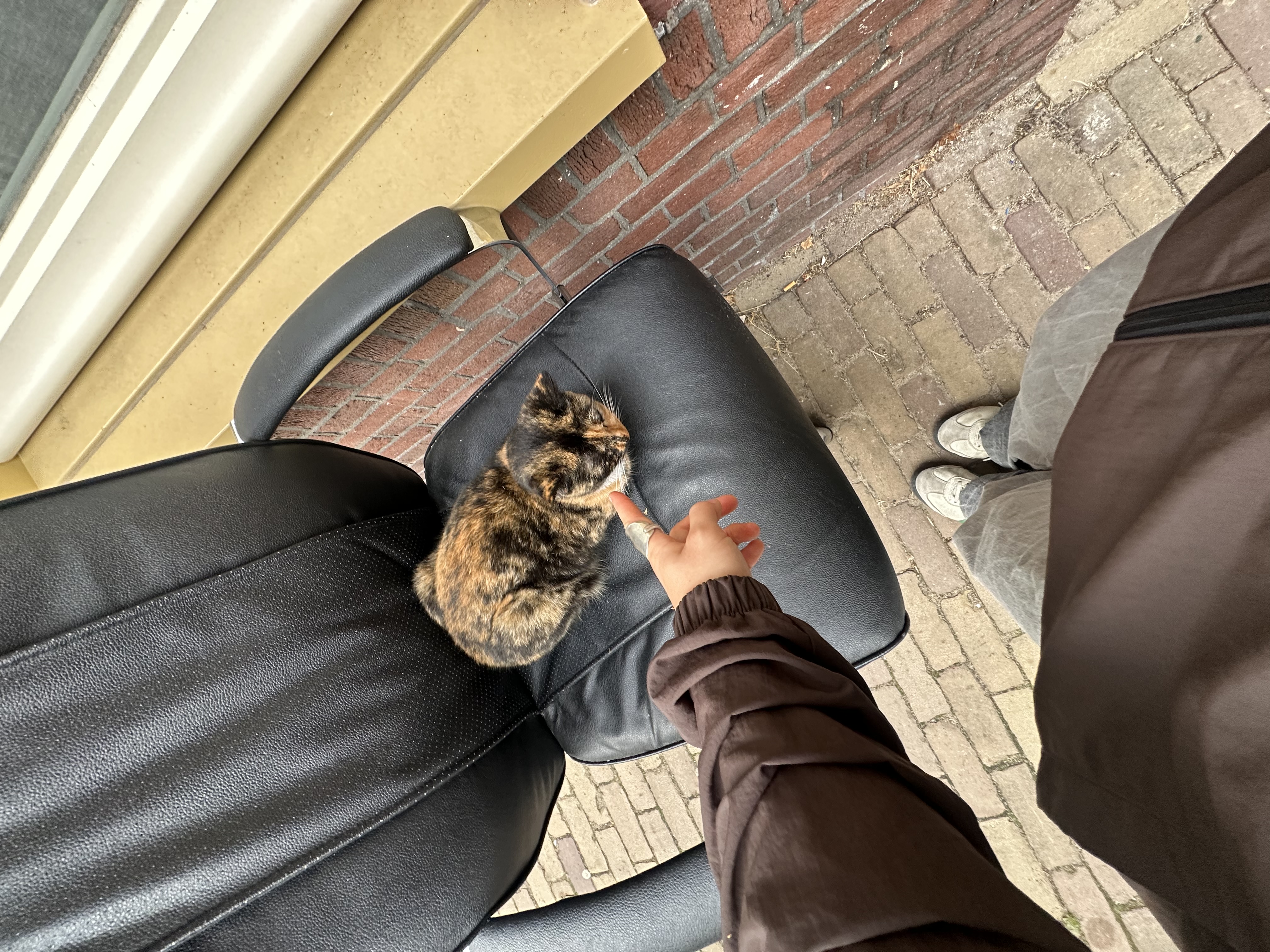 image-8