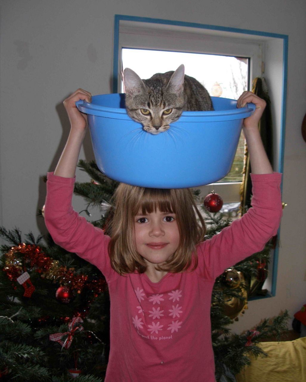 image-6
