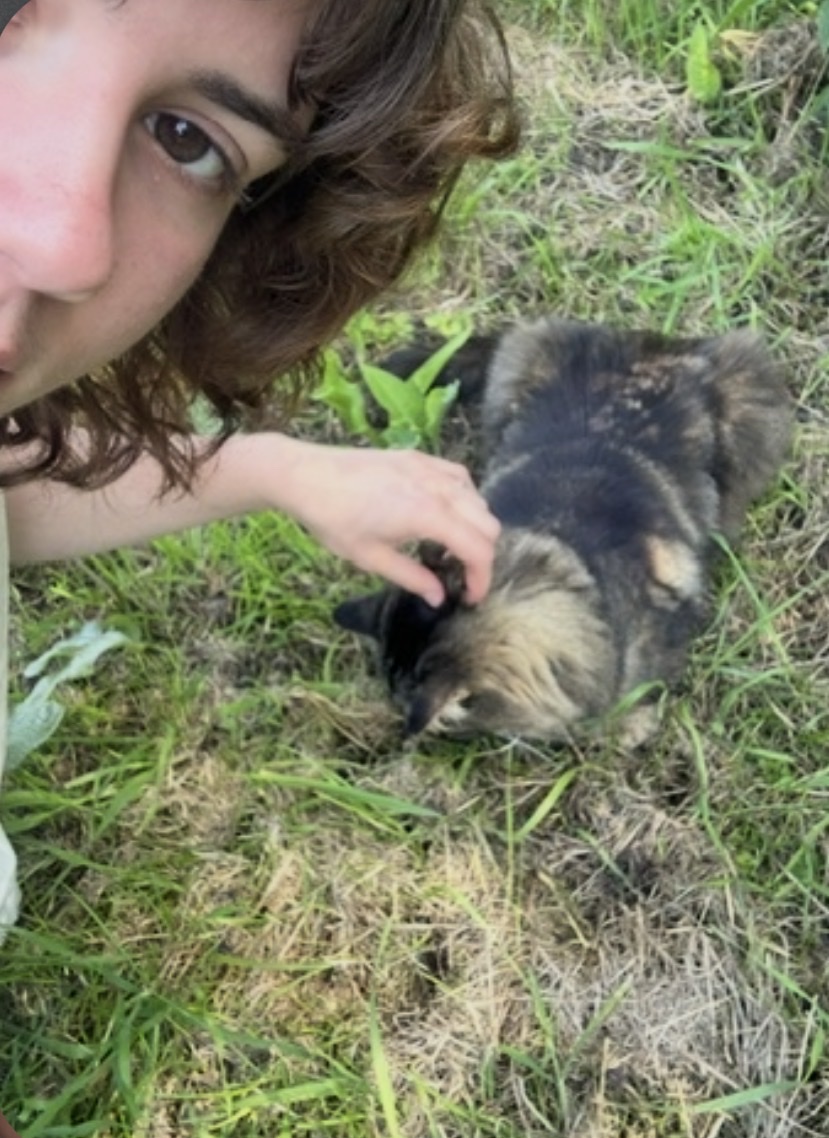 image-4