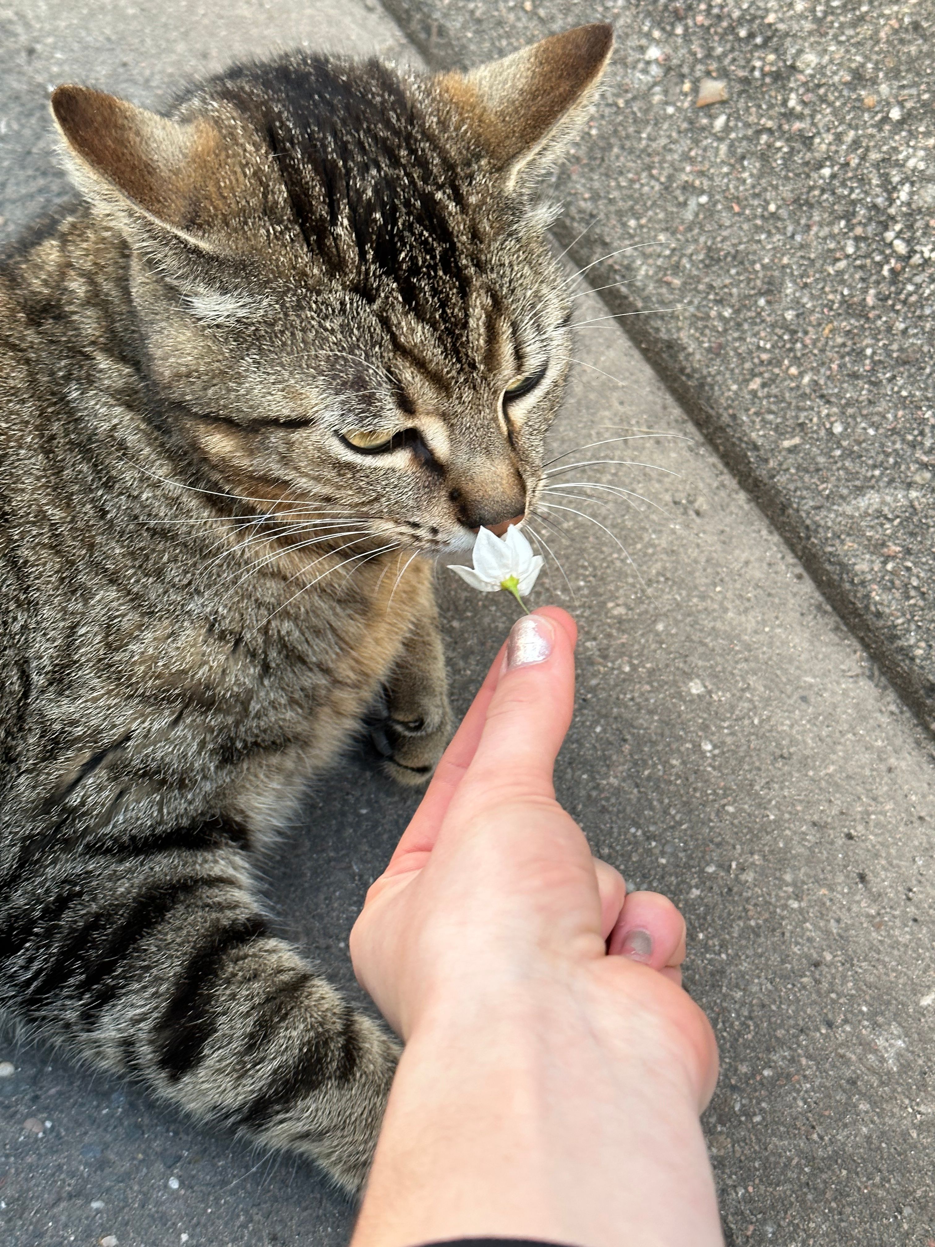 image-5