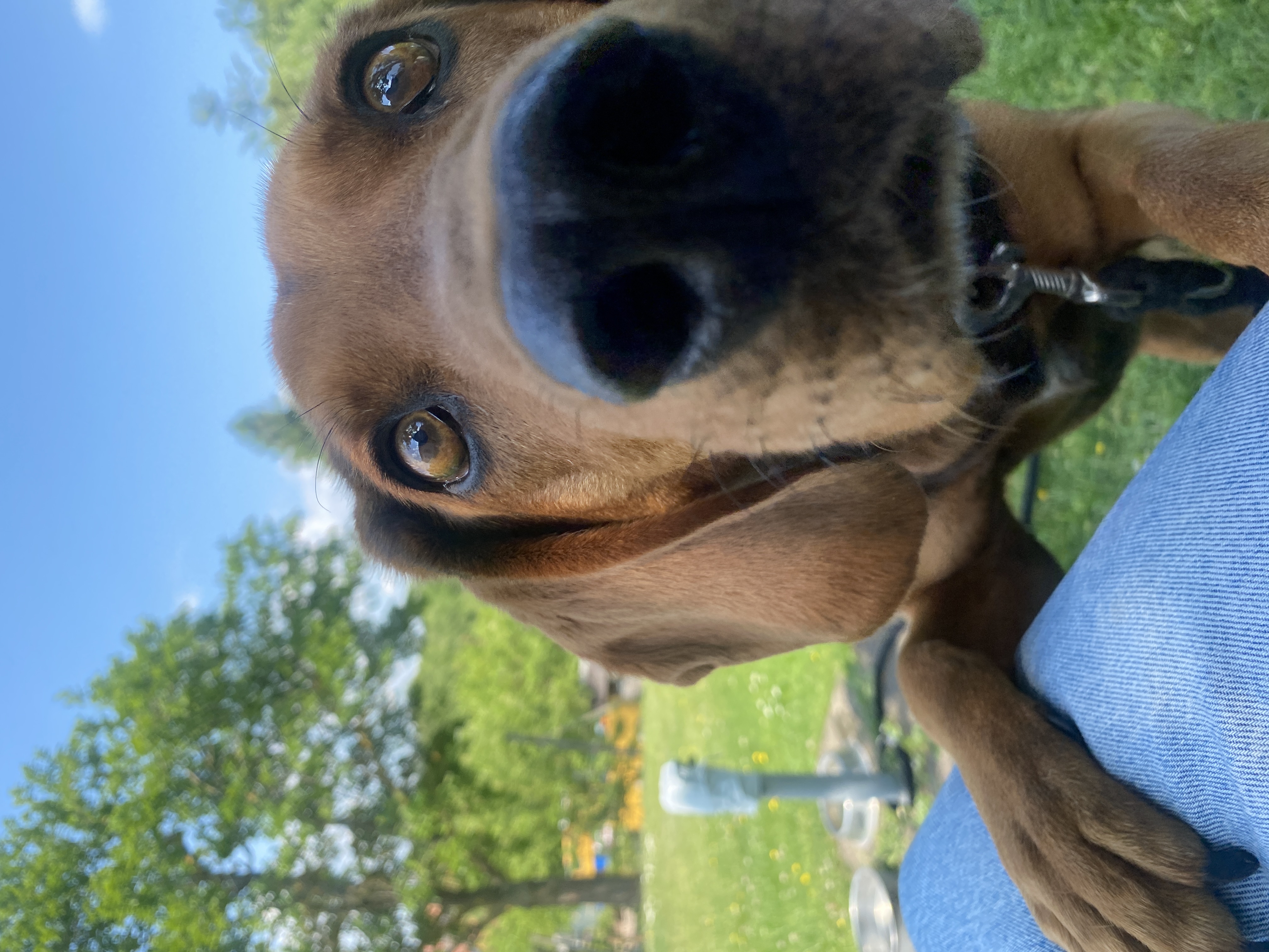 image-6