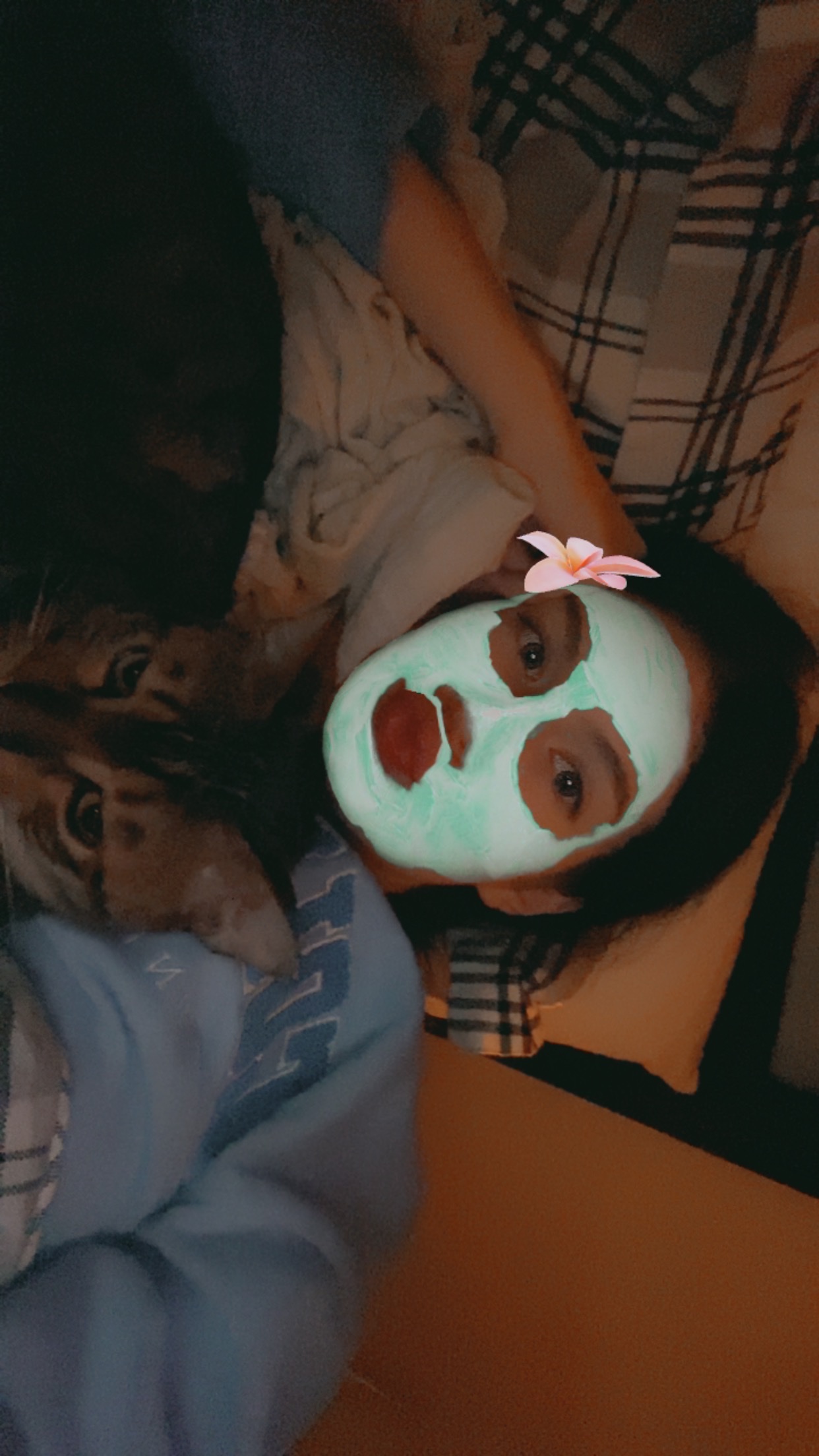 image-12