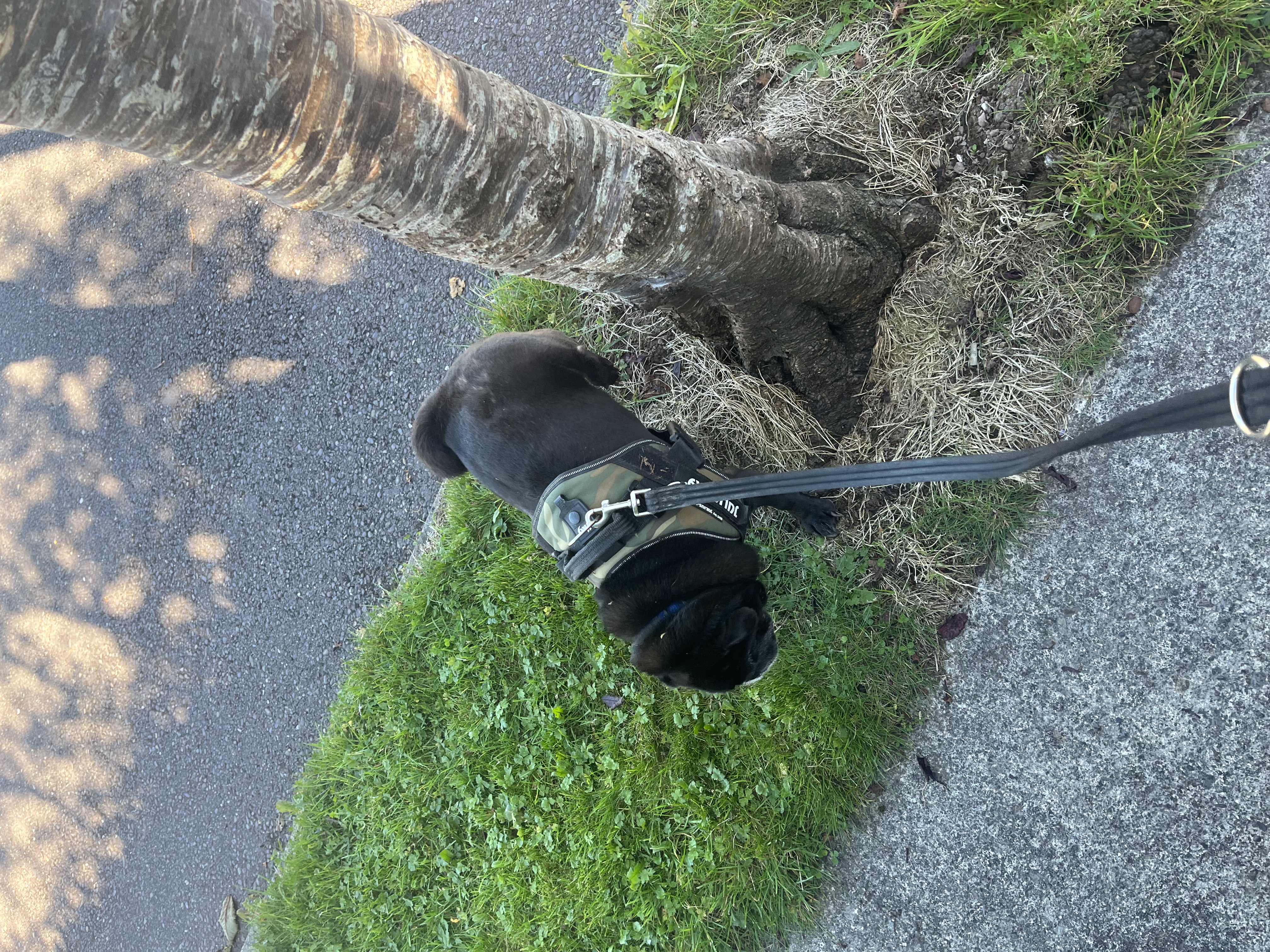 image-12