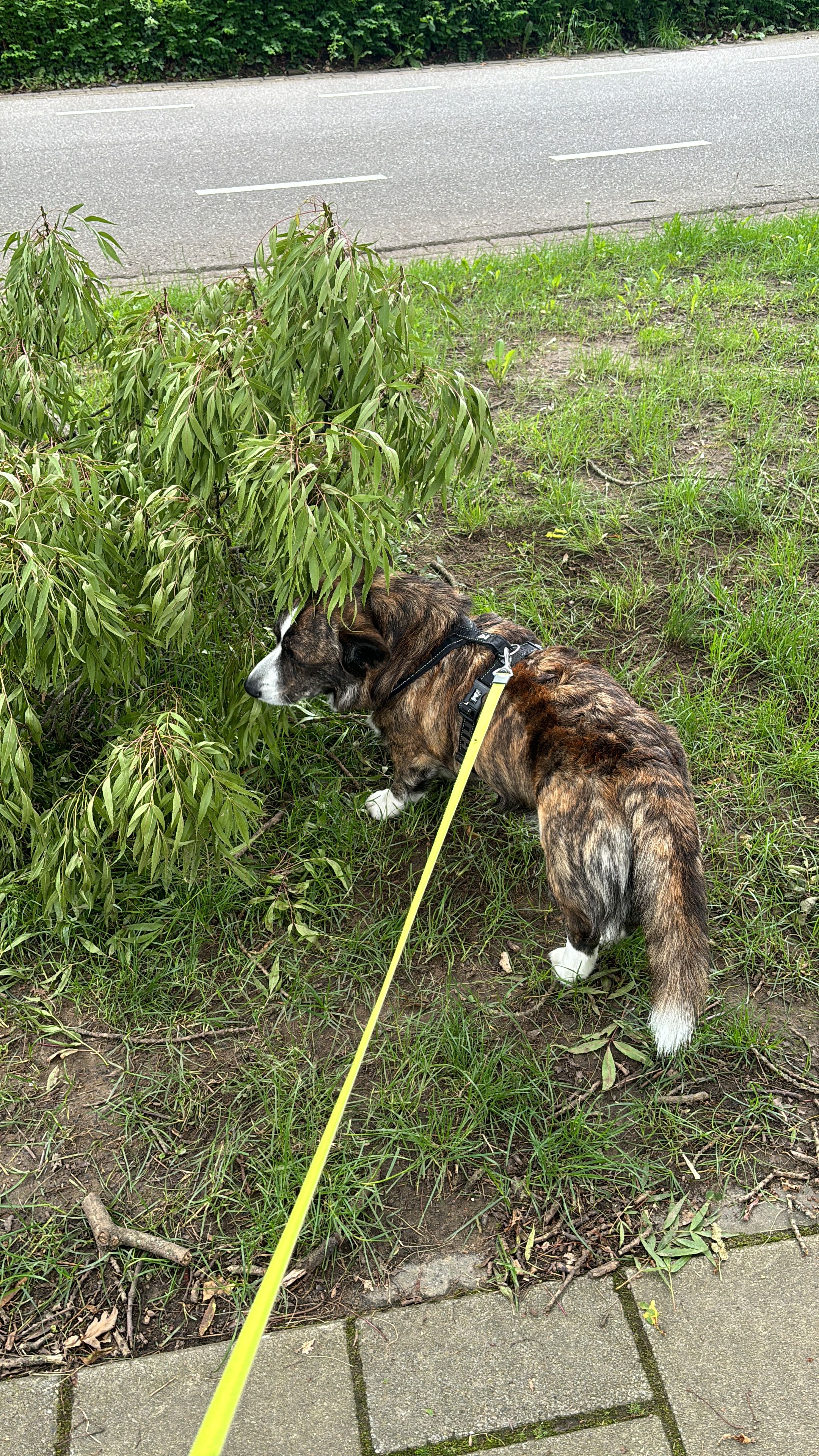 image-13