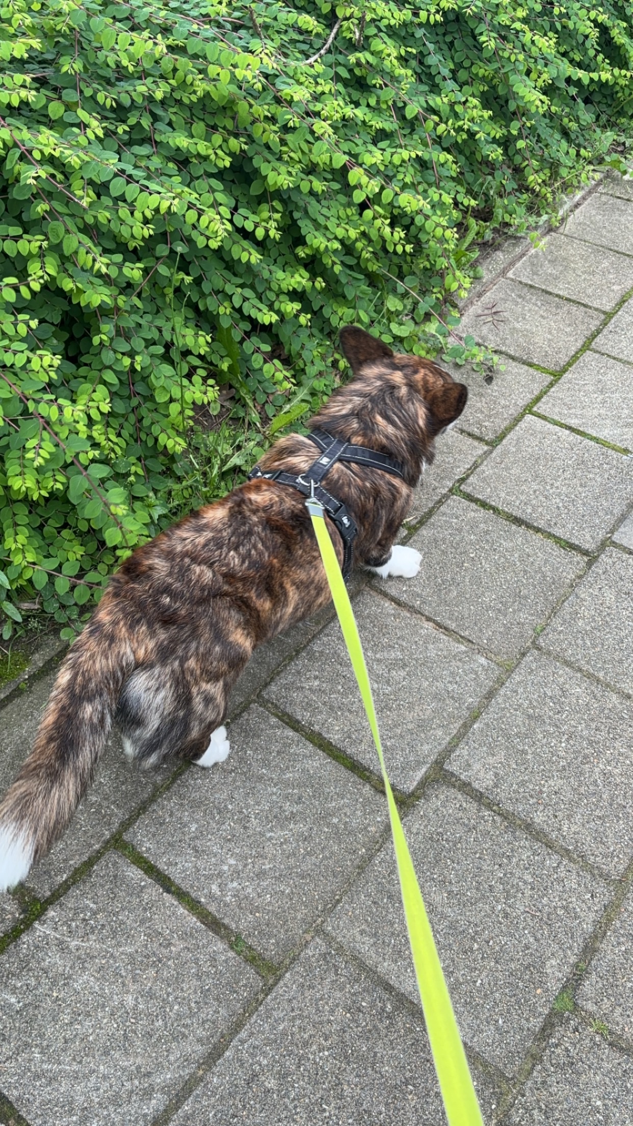 image-8