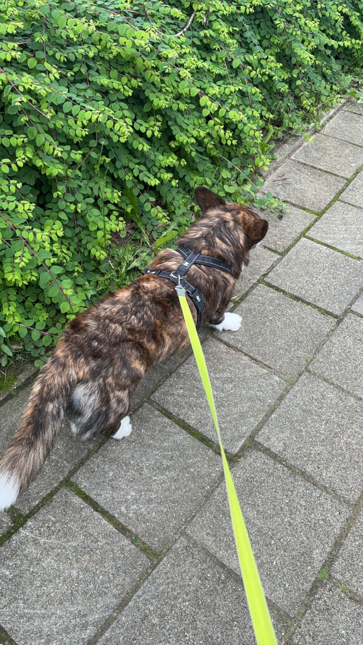 image-8