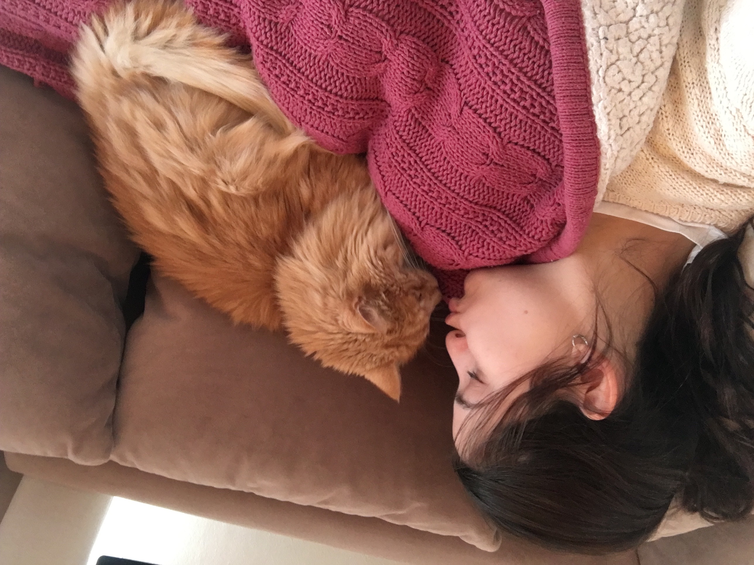 image-0