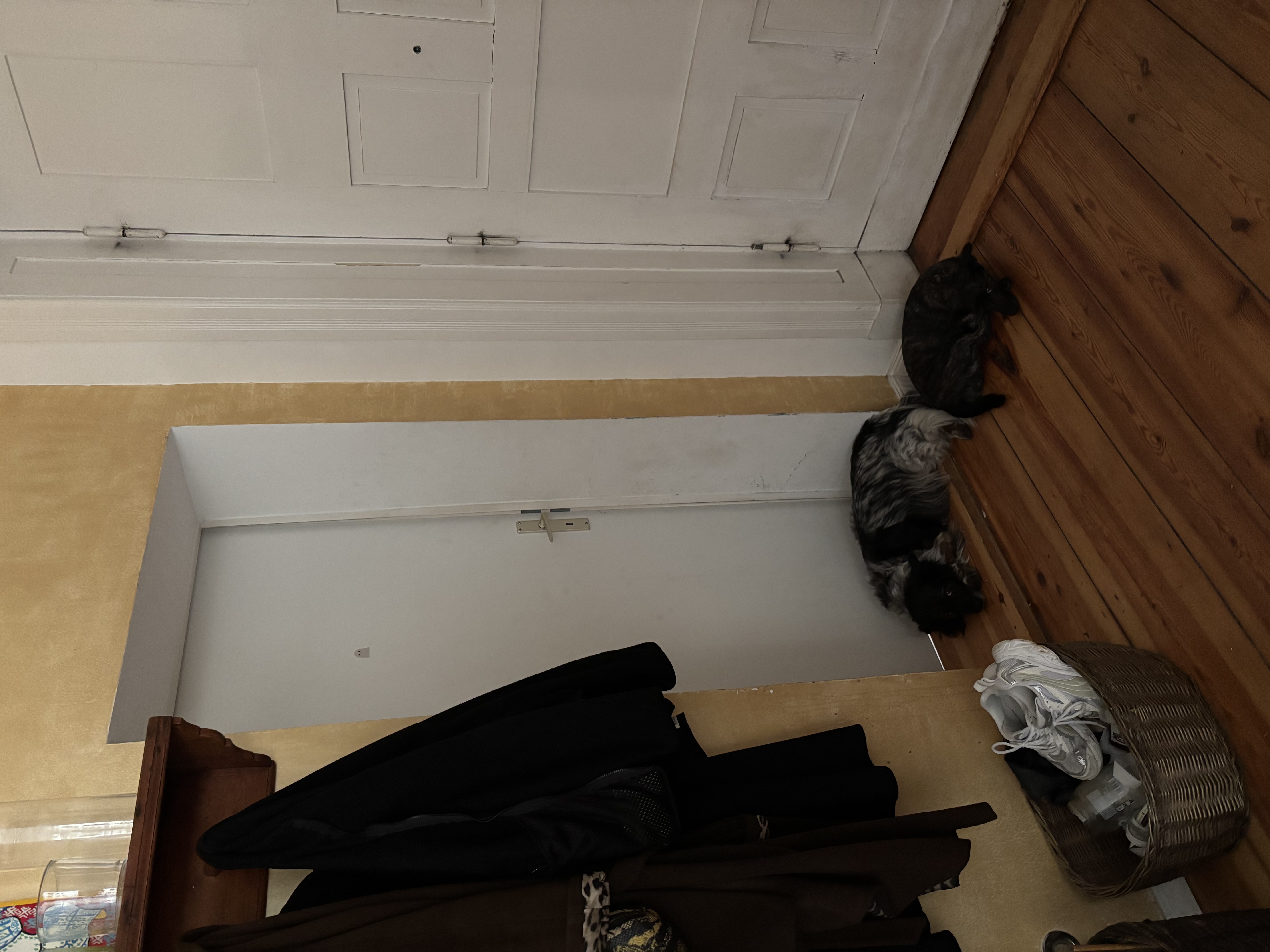 image-11