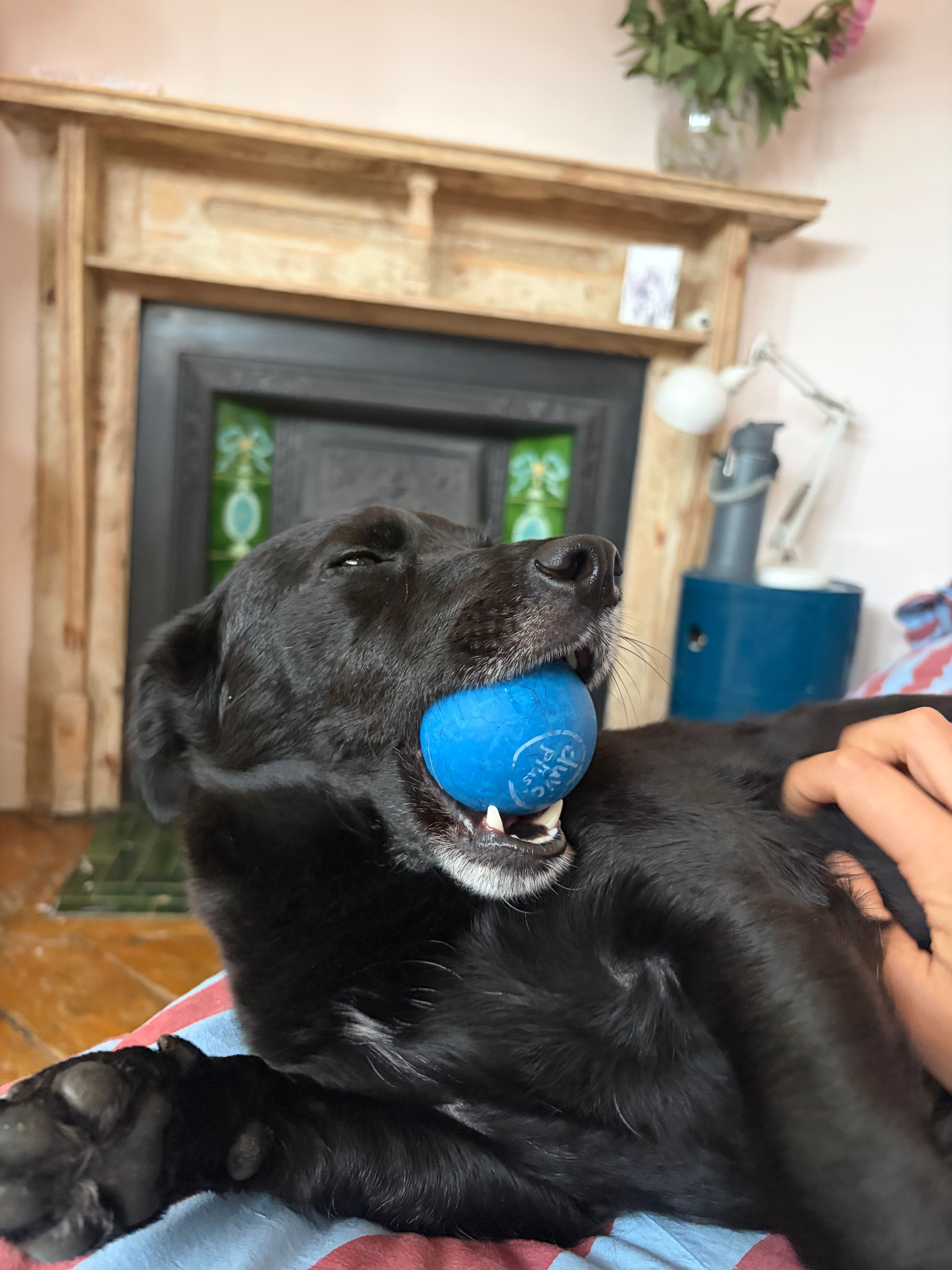 image-27
