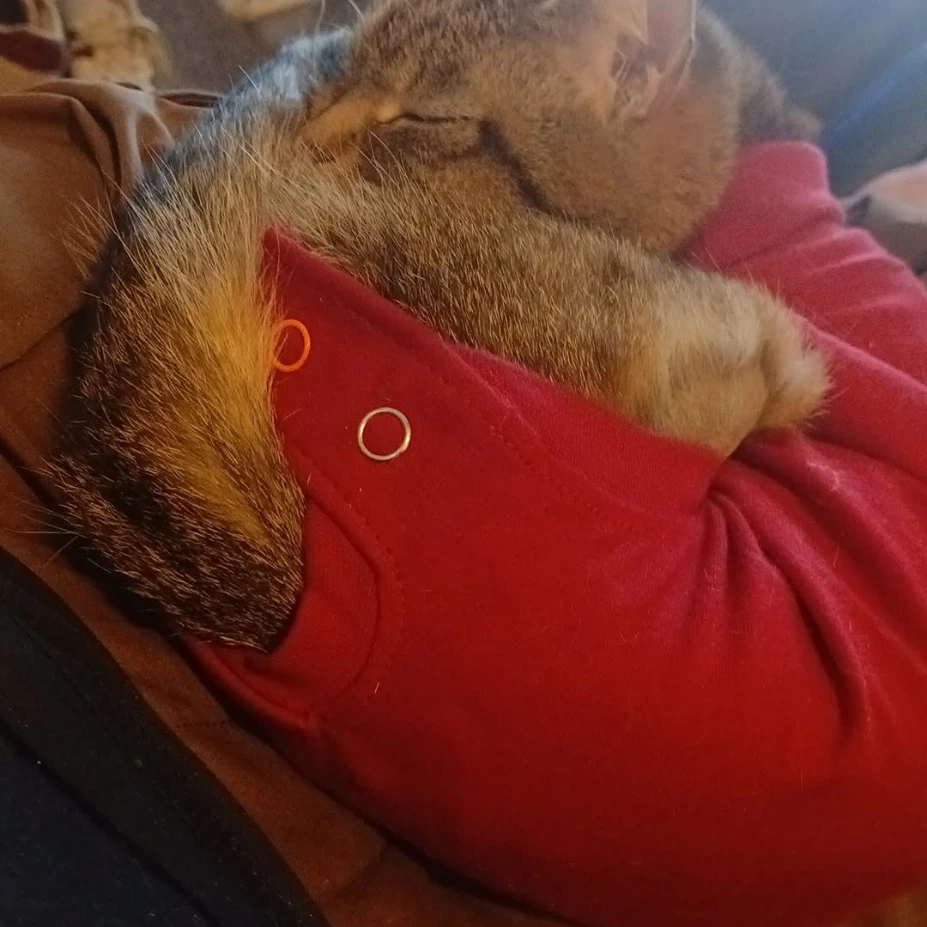 luci