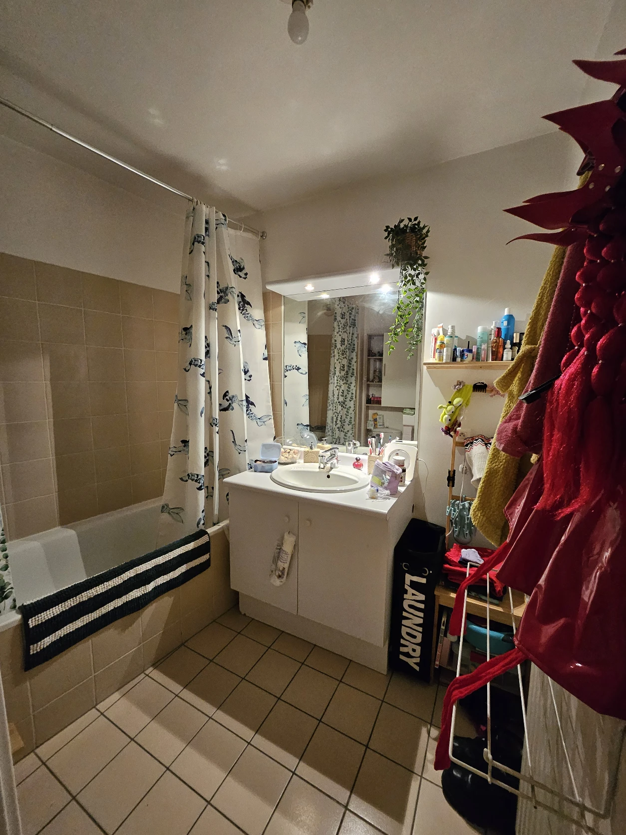 image-12