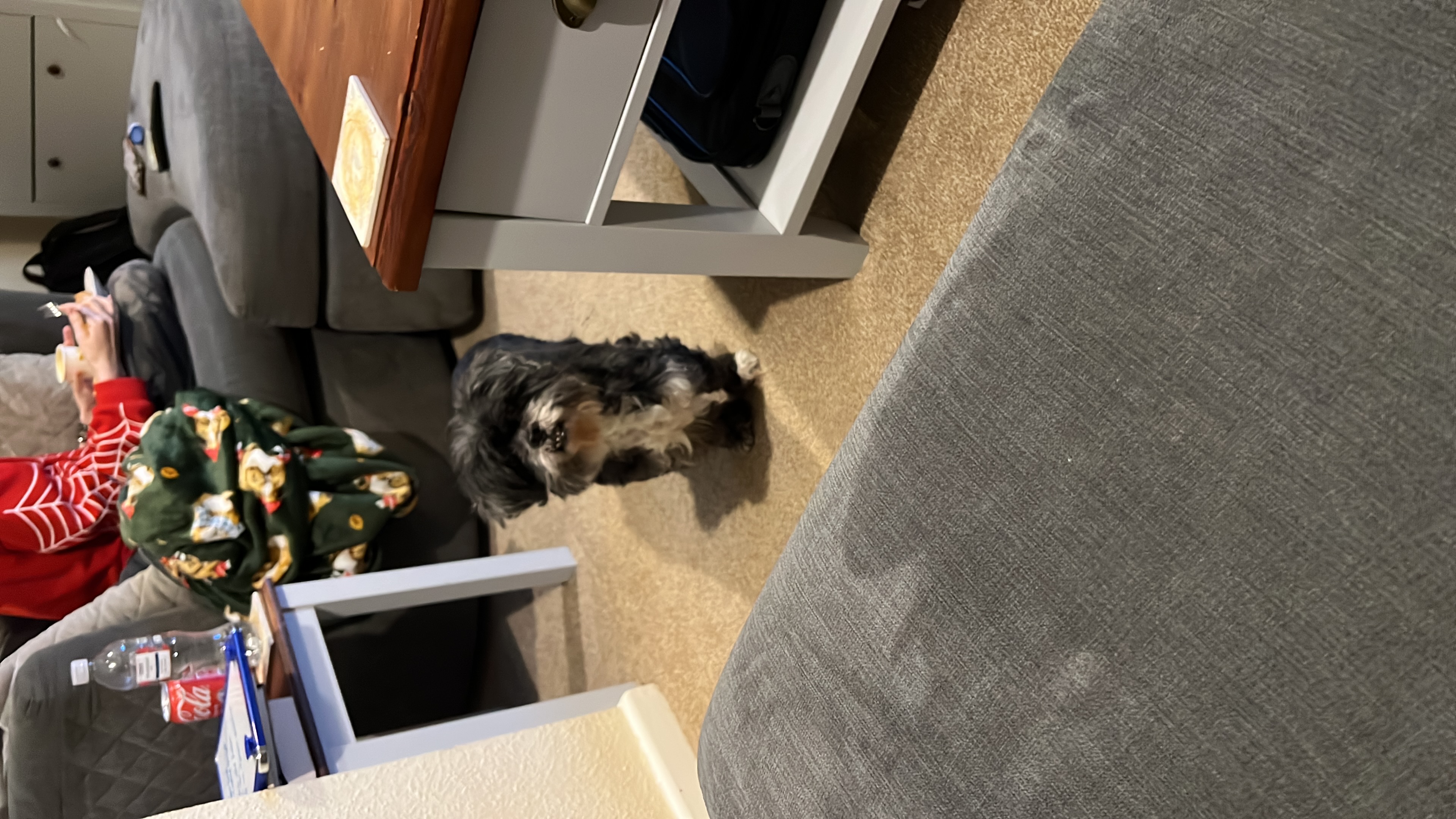image-10