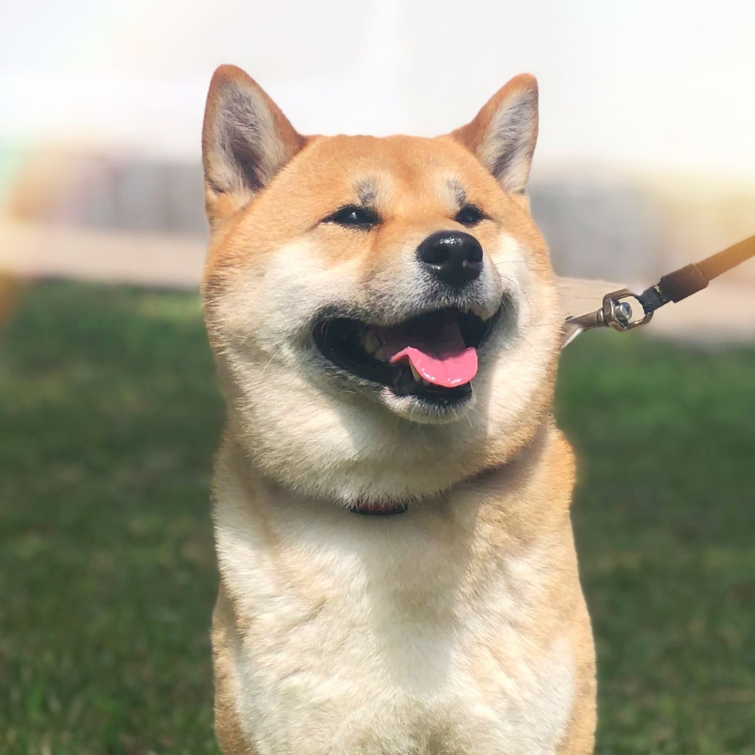 Hiro