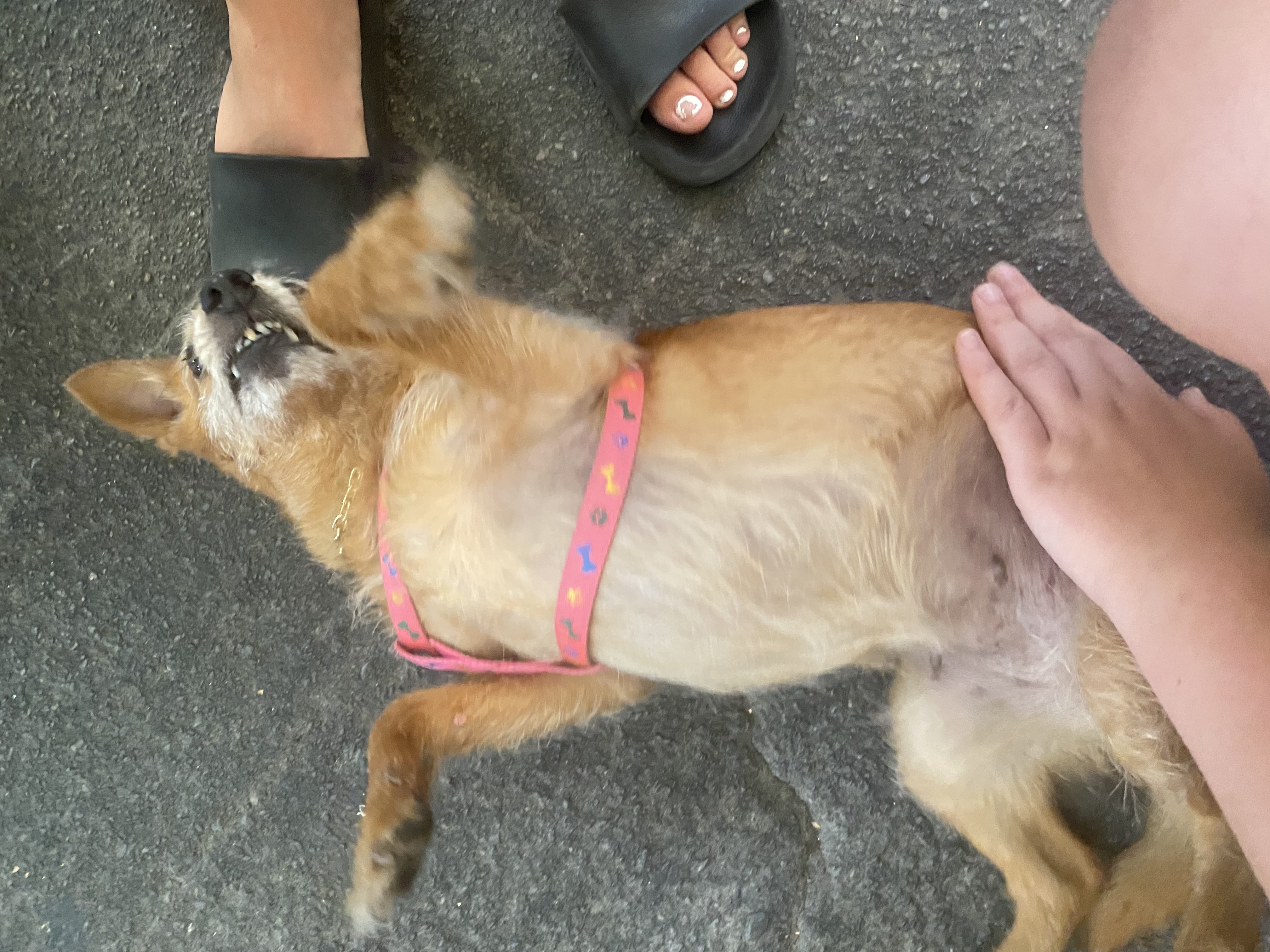 image-7