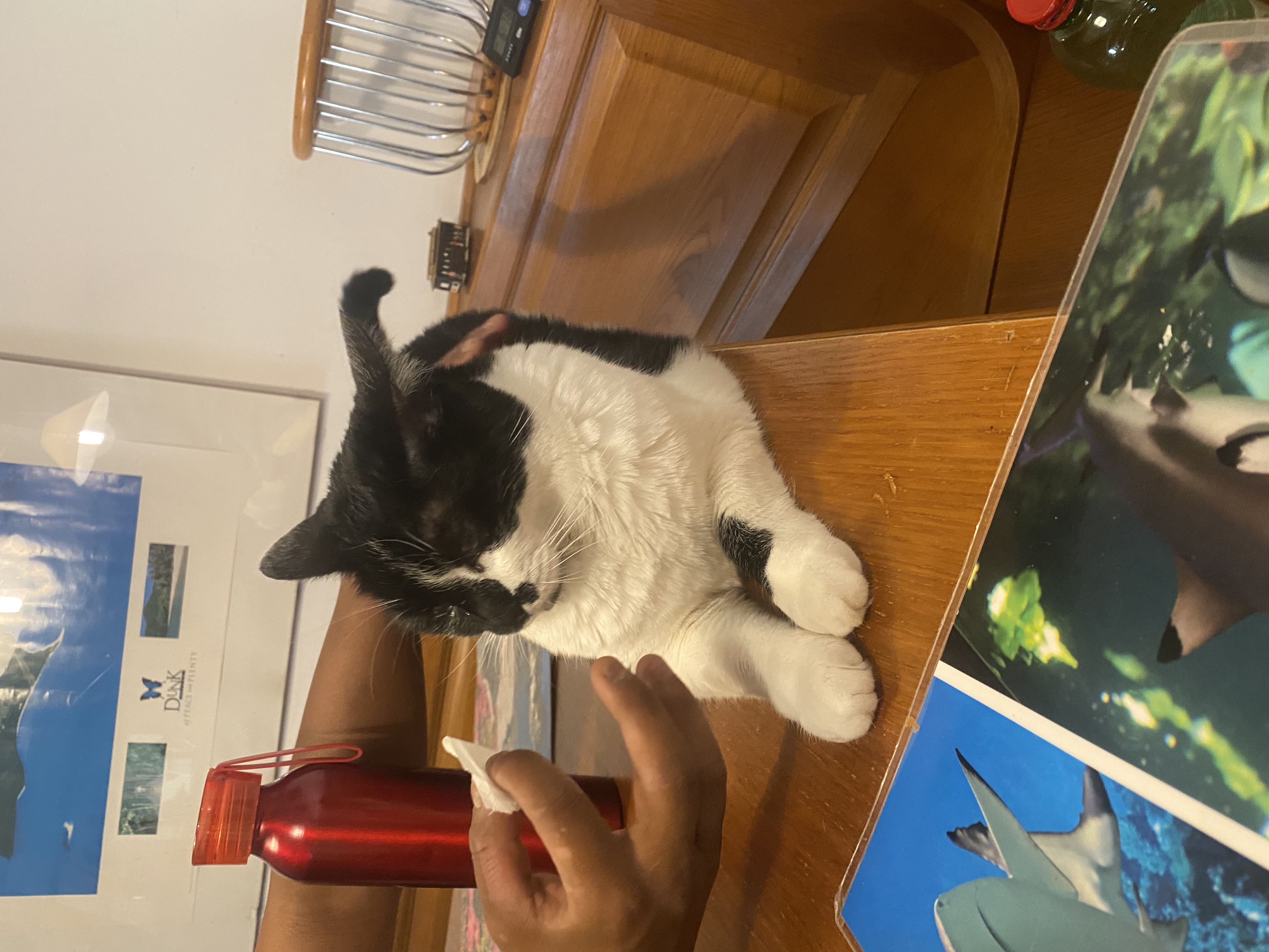 image-8