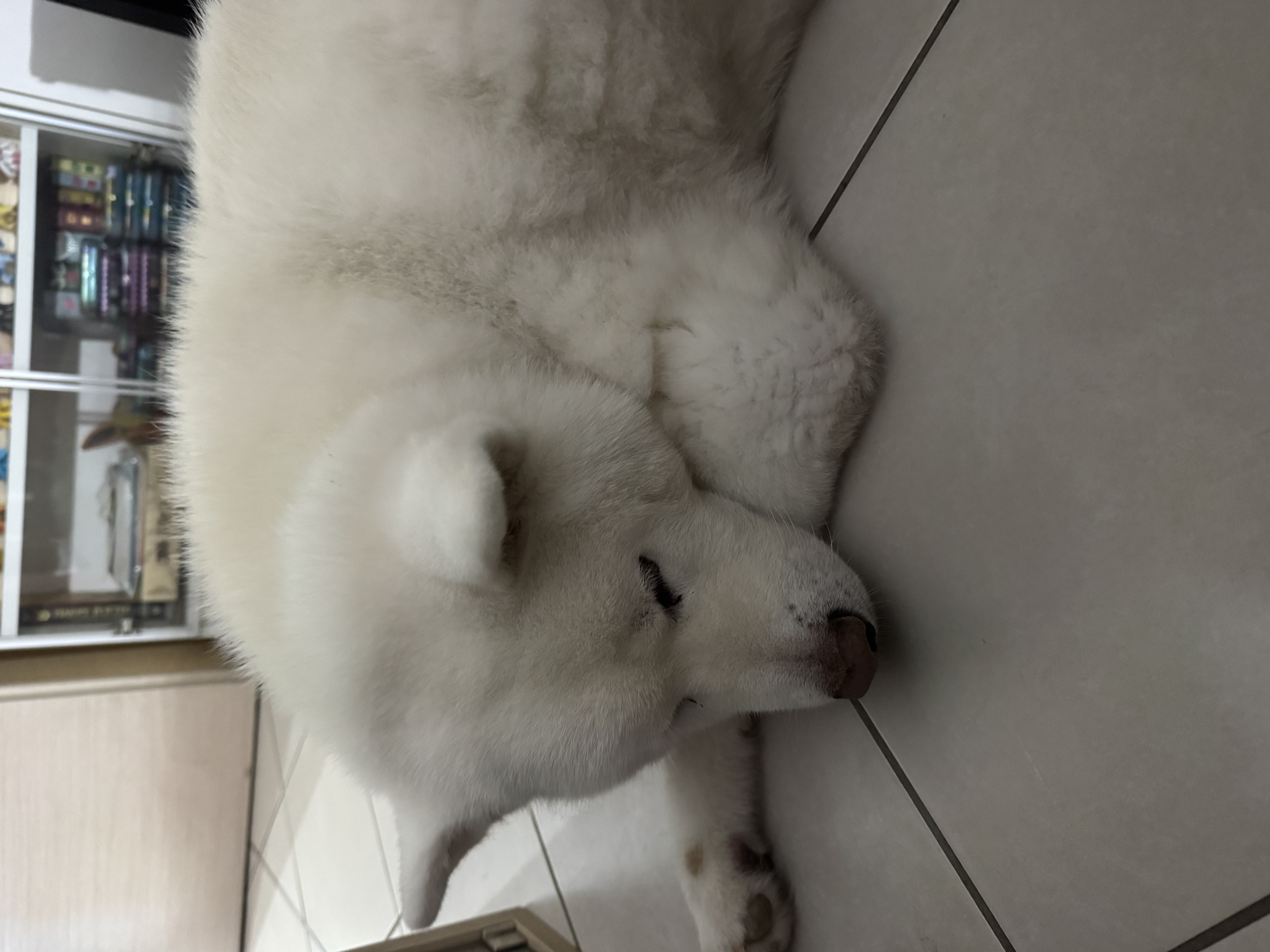 image-6
