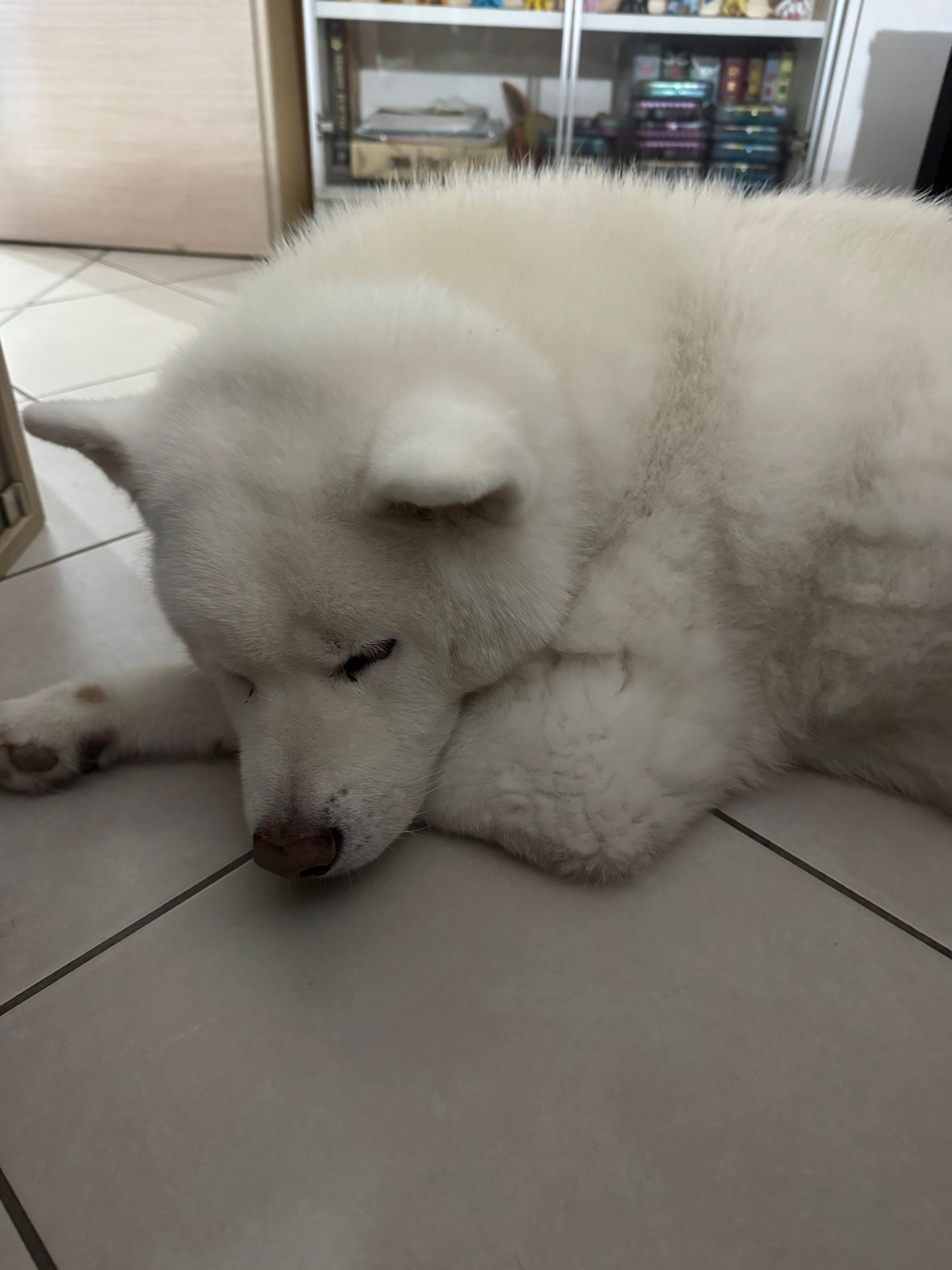 image-6