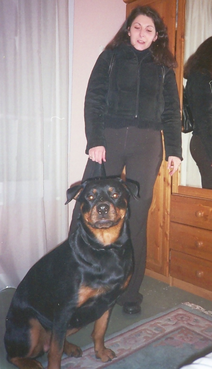 image-8