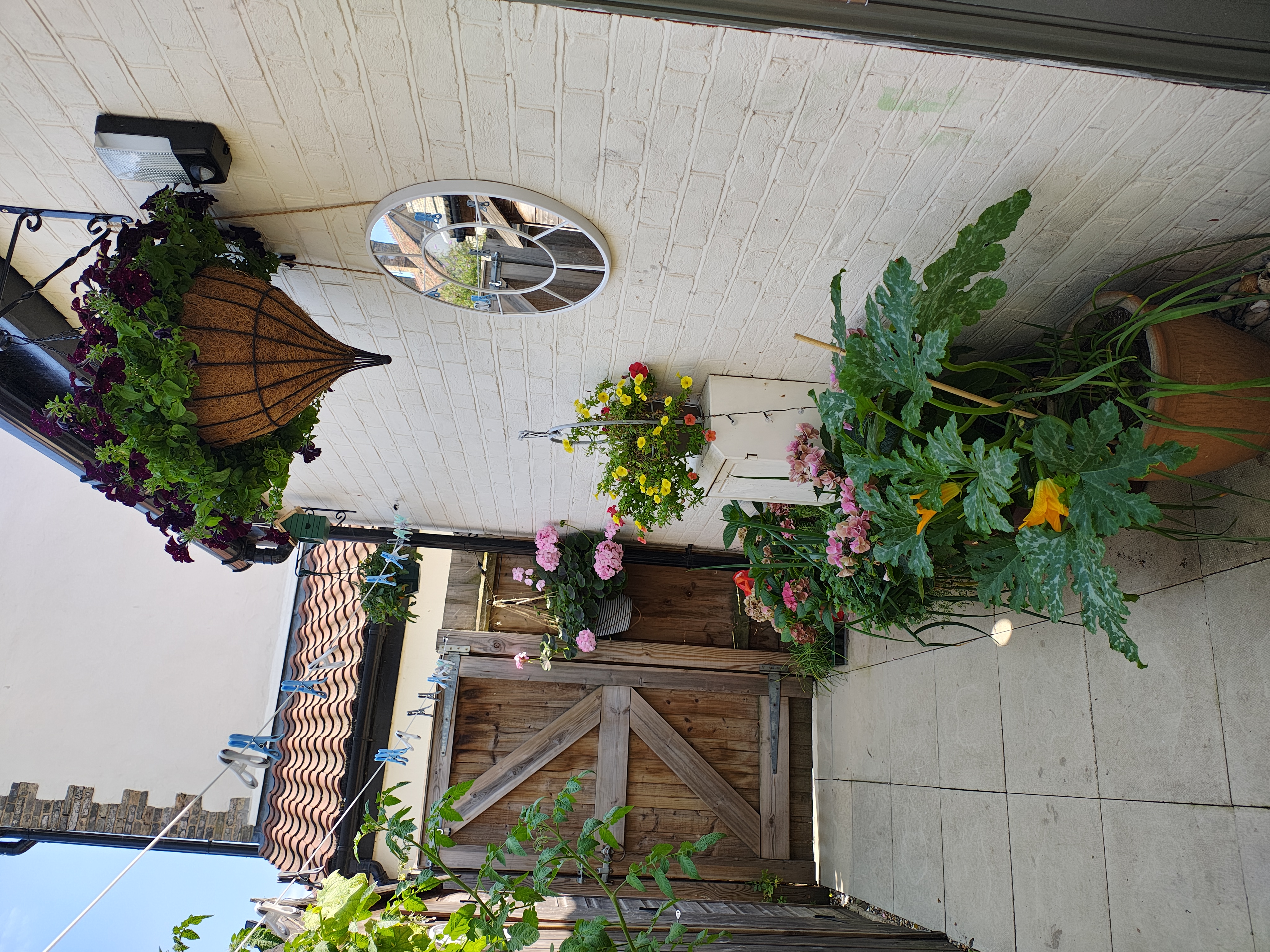 image-20