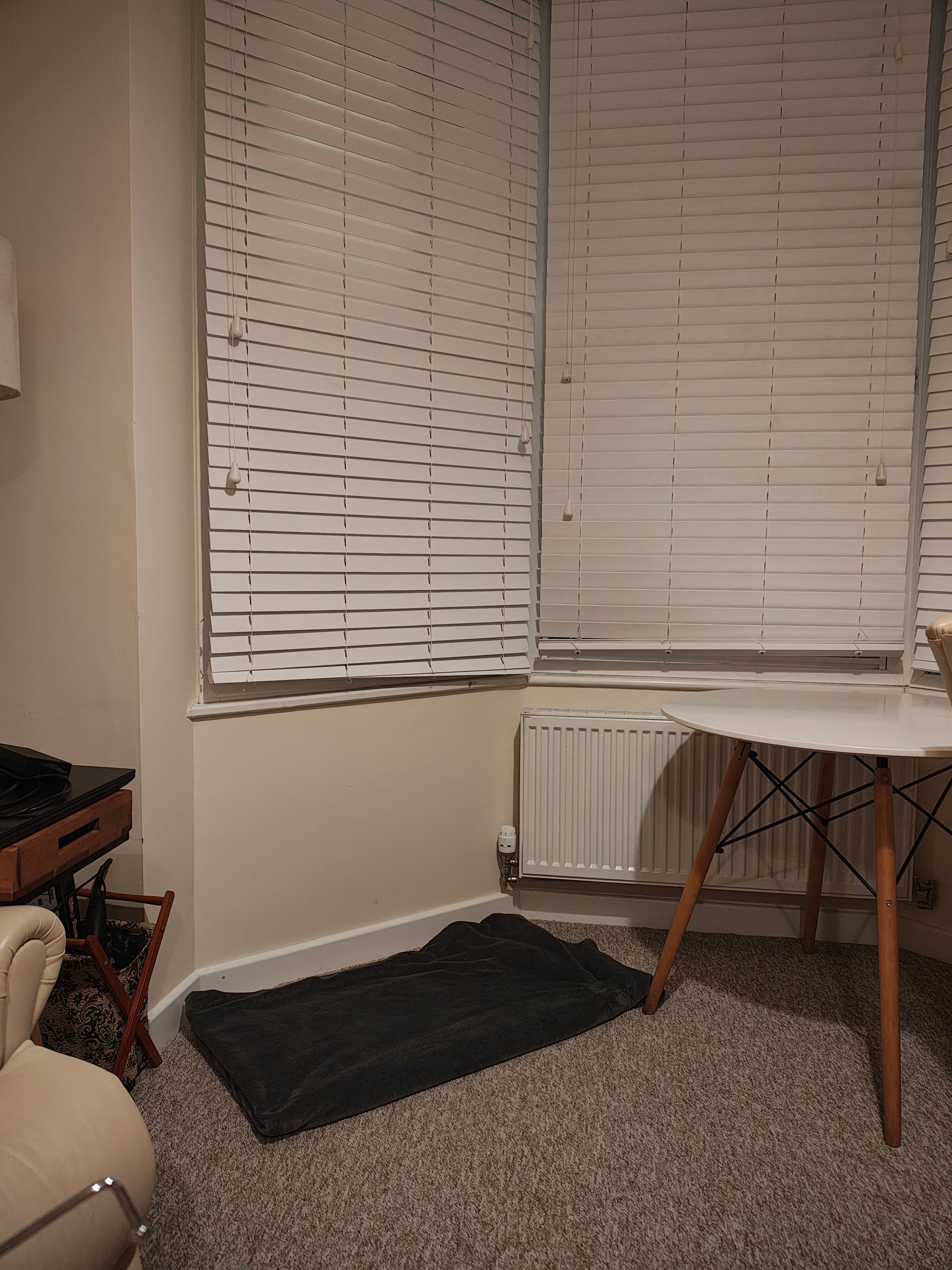 image-19
