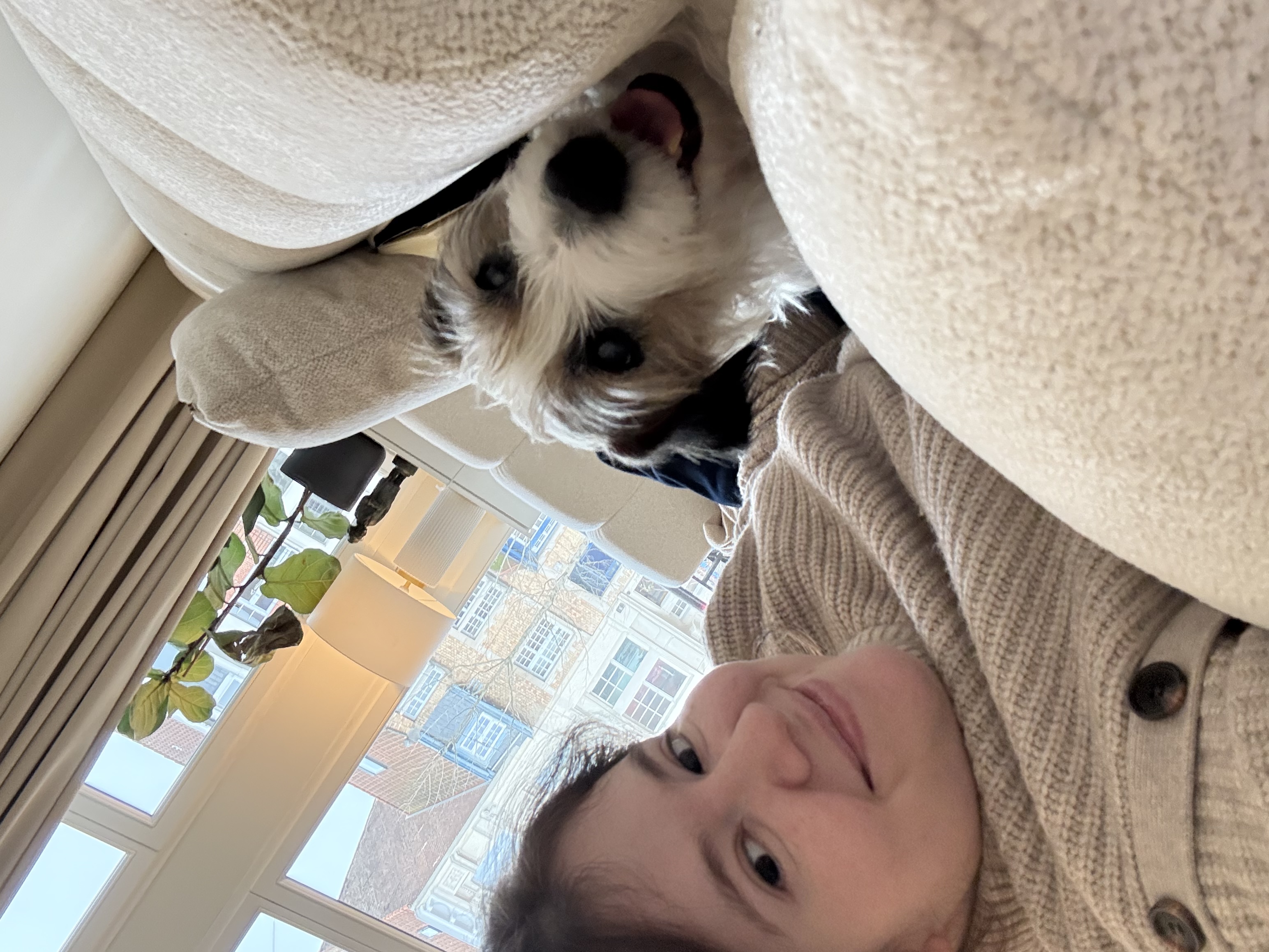 image-7