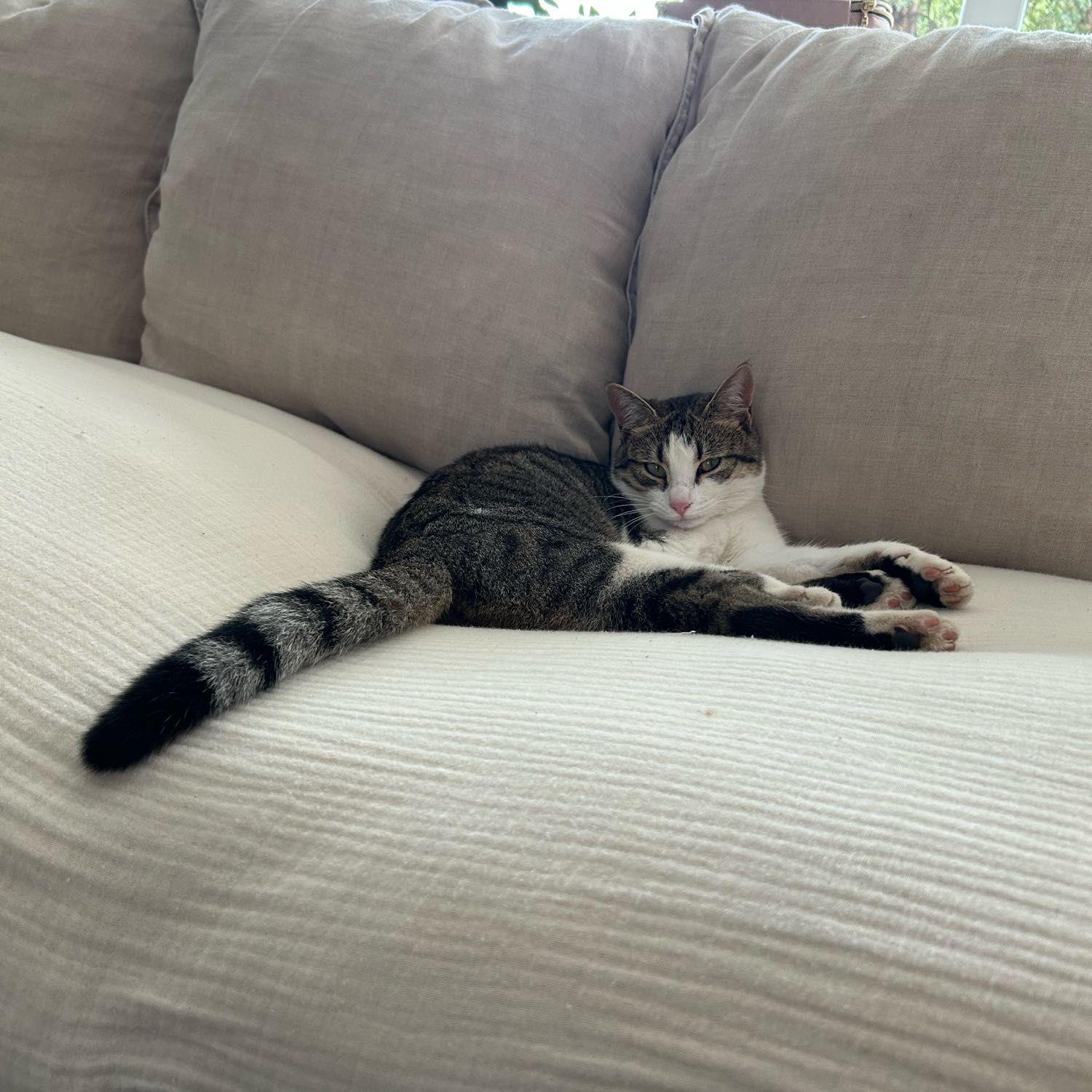 Mia