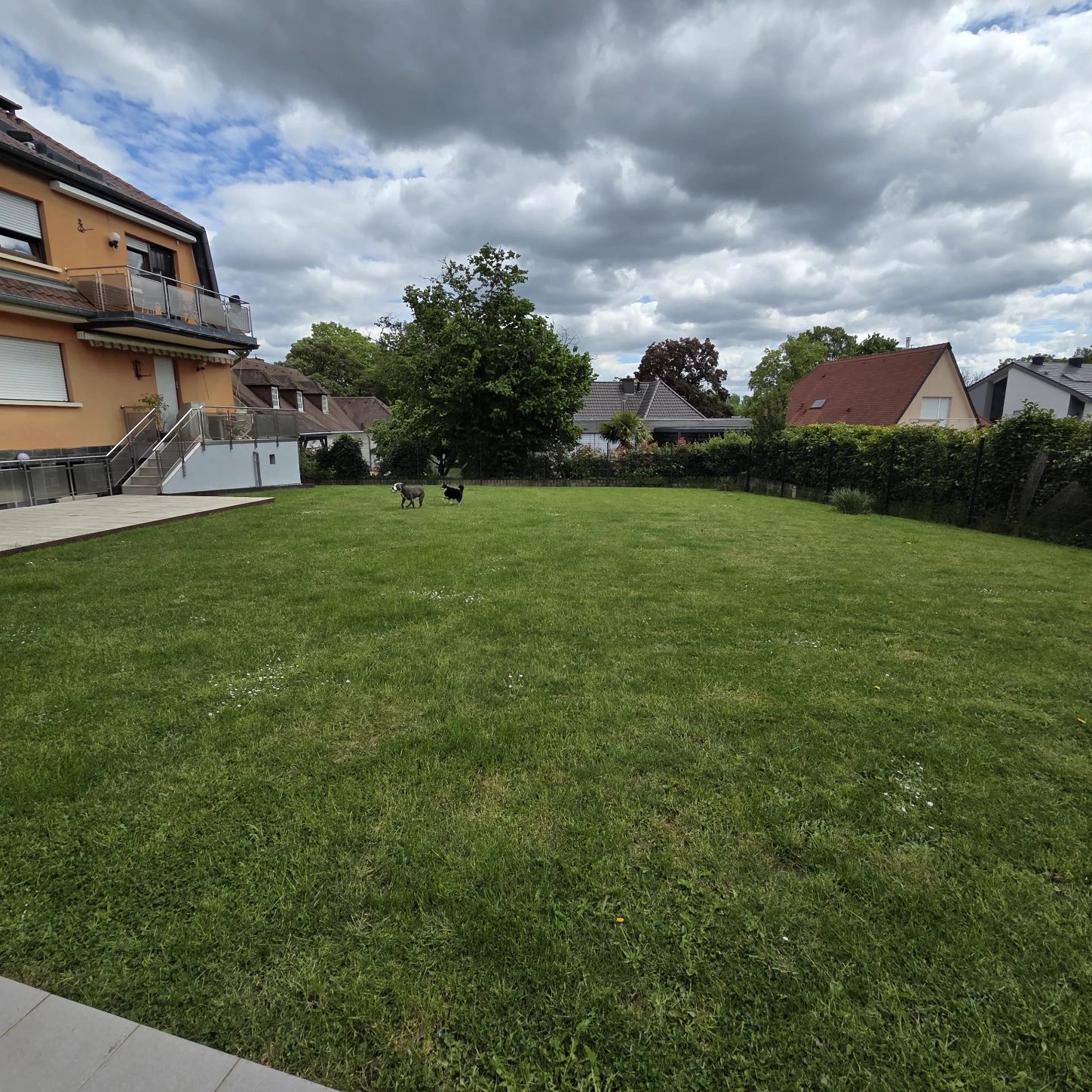 image-14