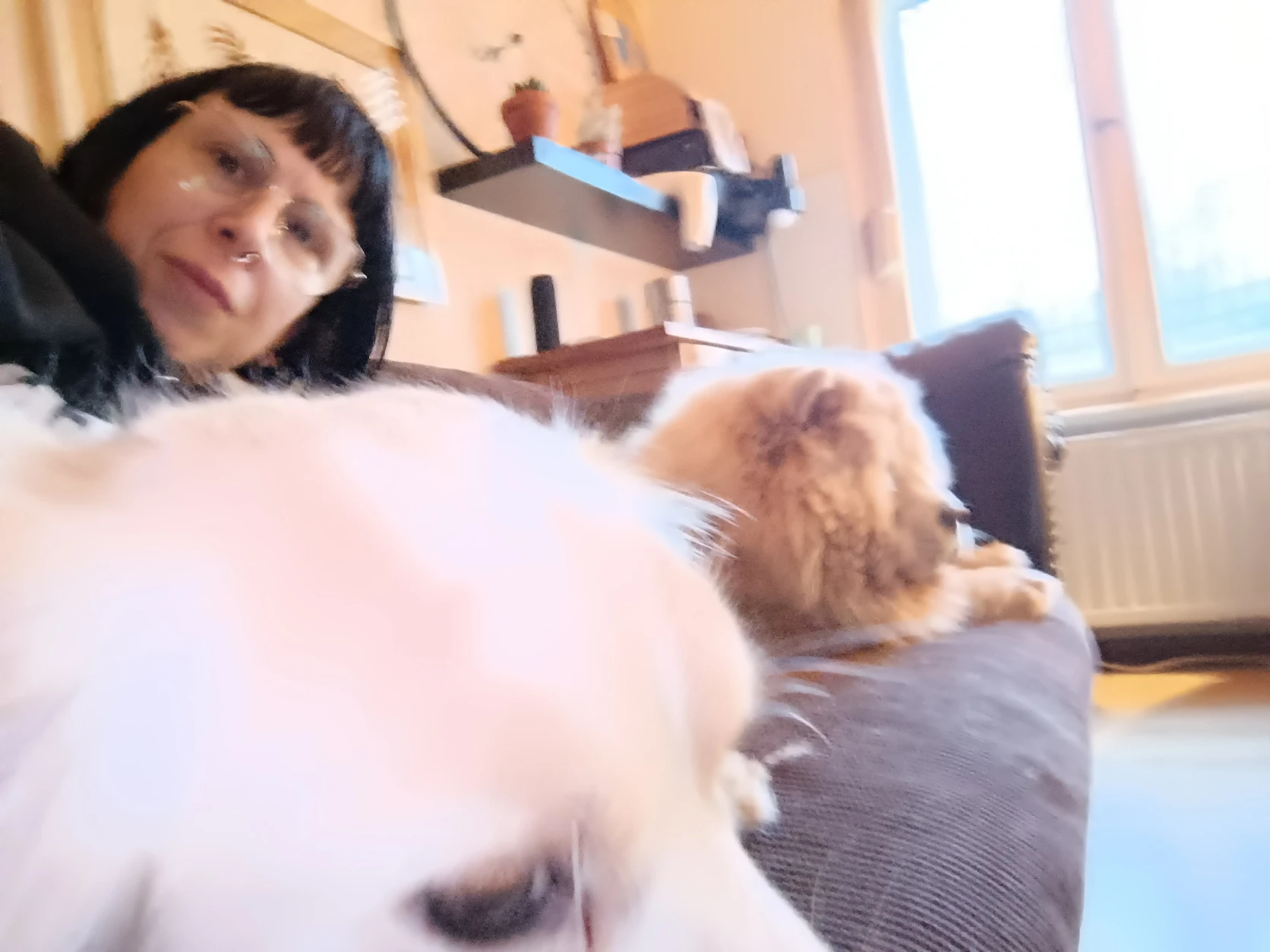 image-18