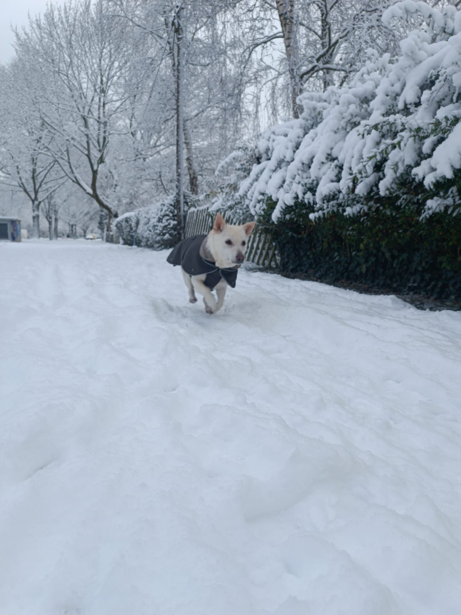 image-11