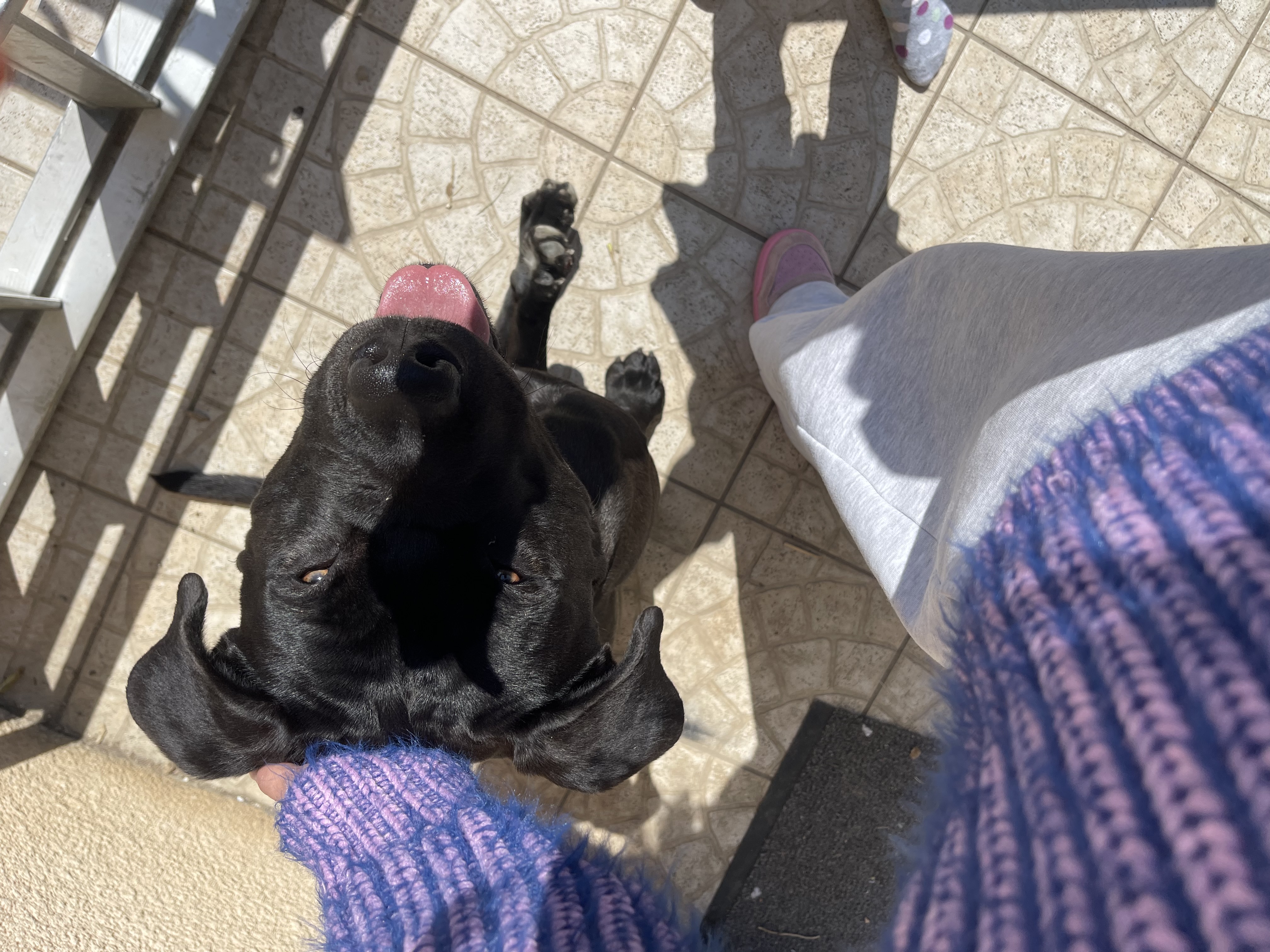 image-6