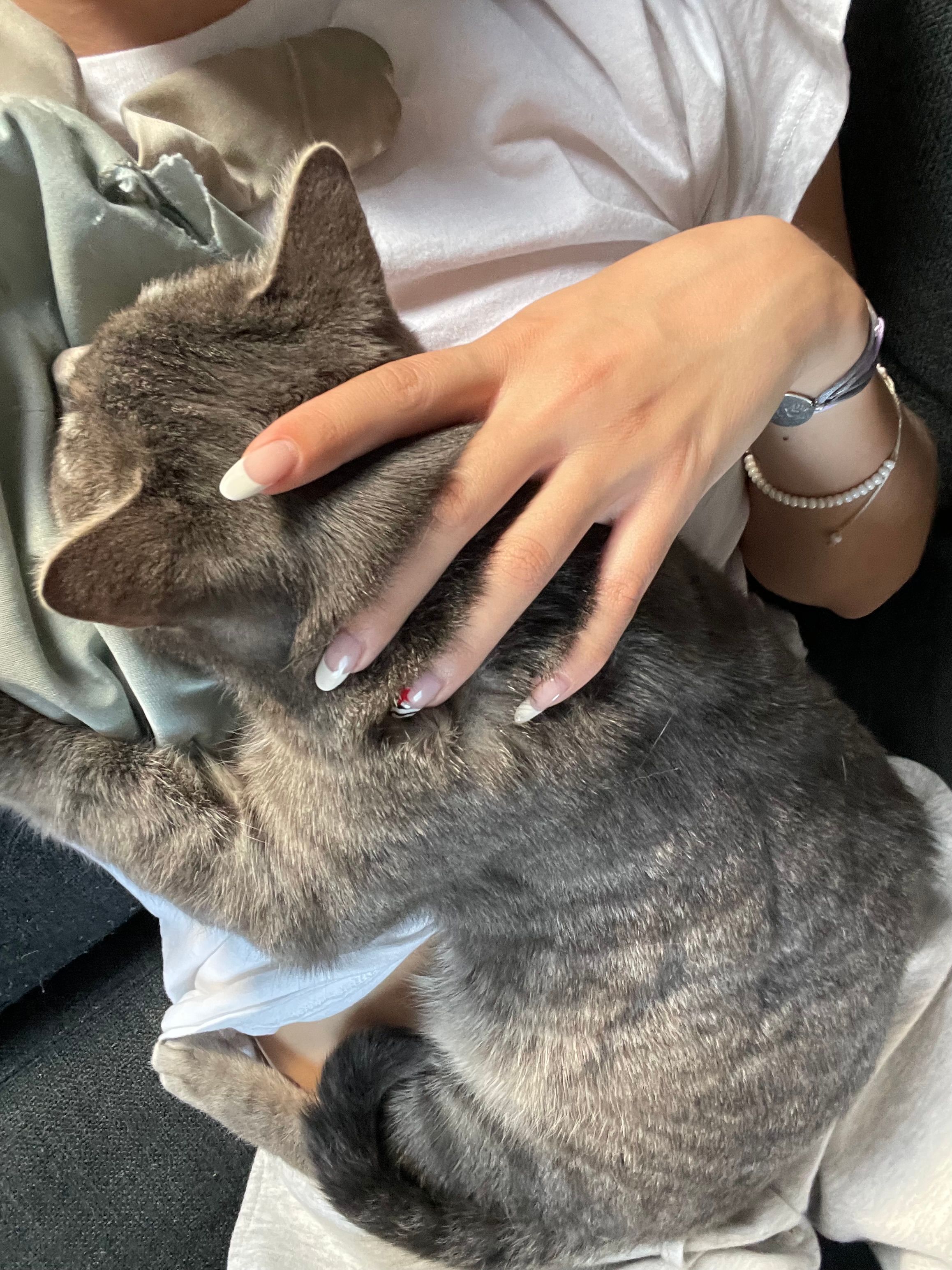 image-11