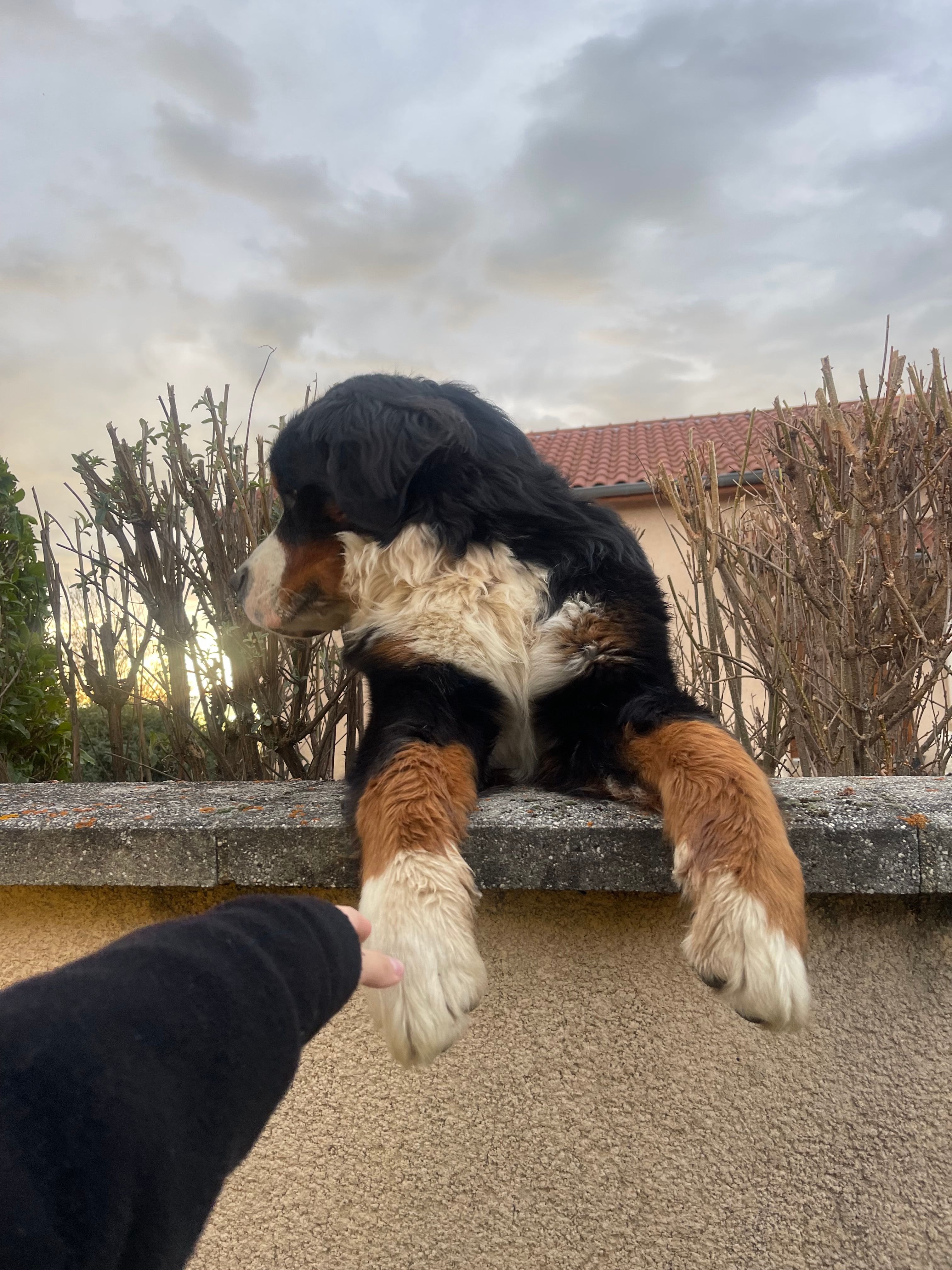 image-9