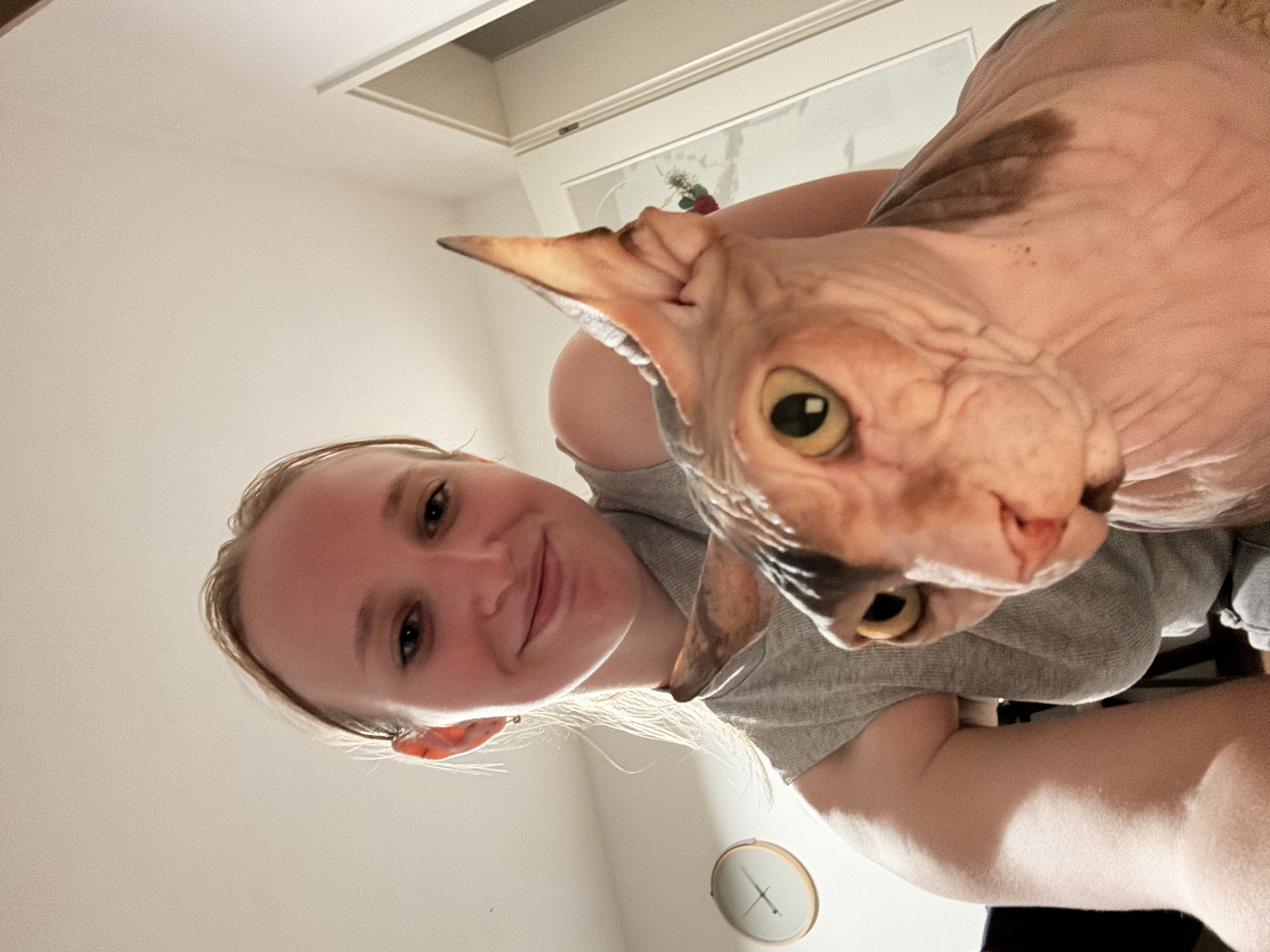 image-7