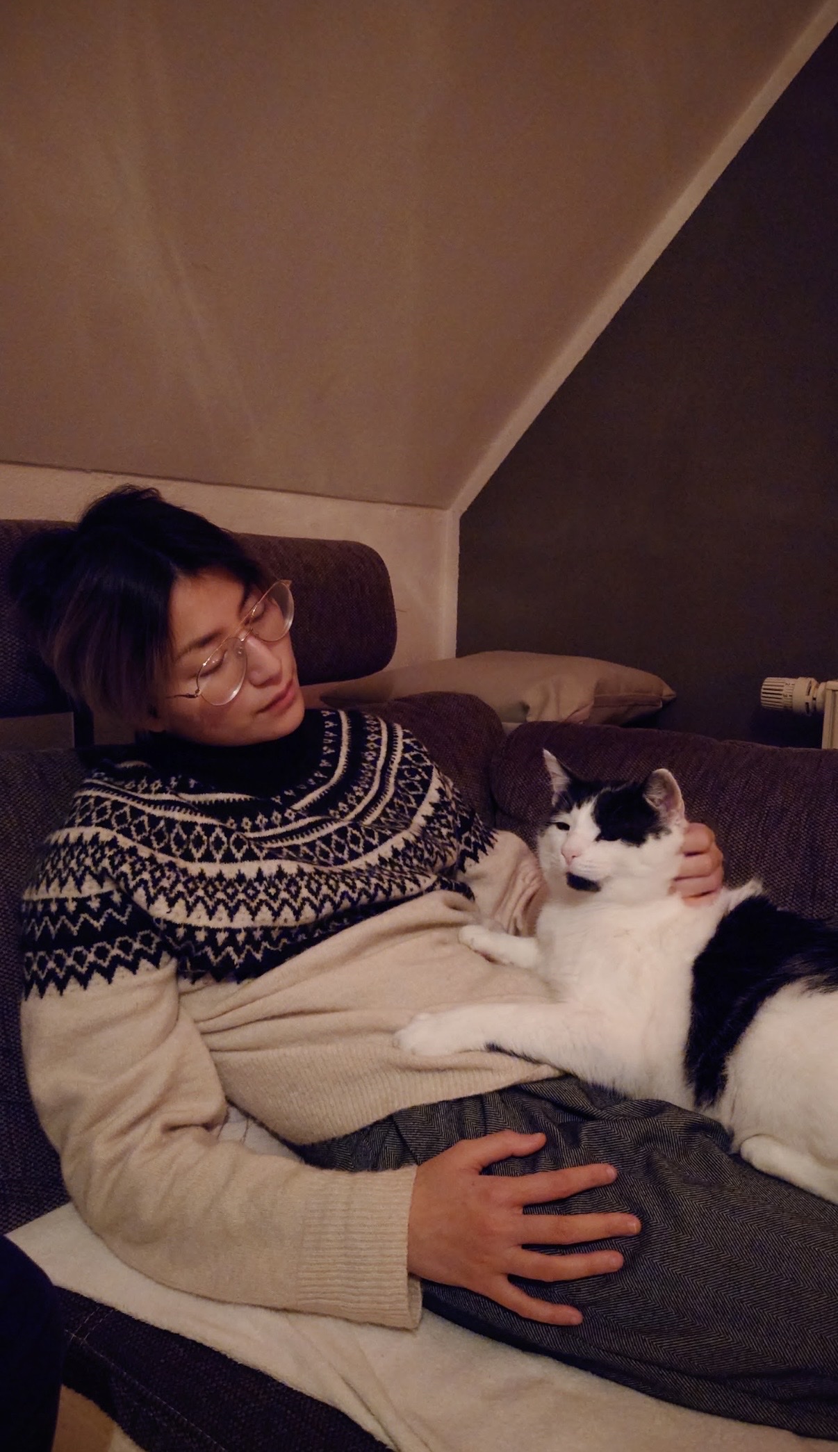 image-7