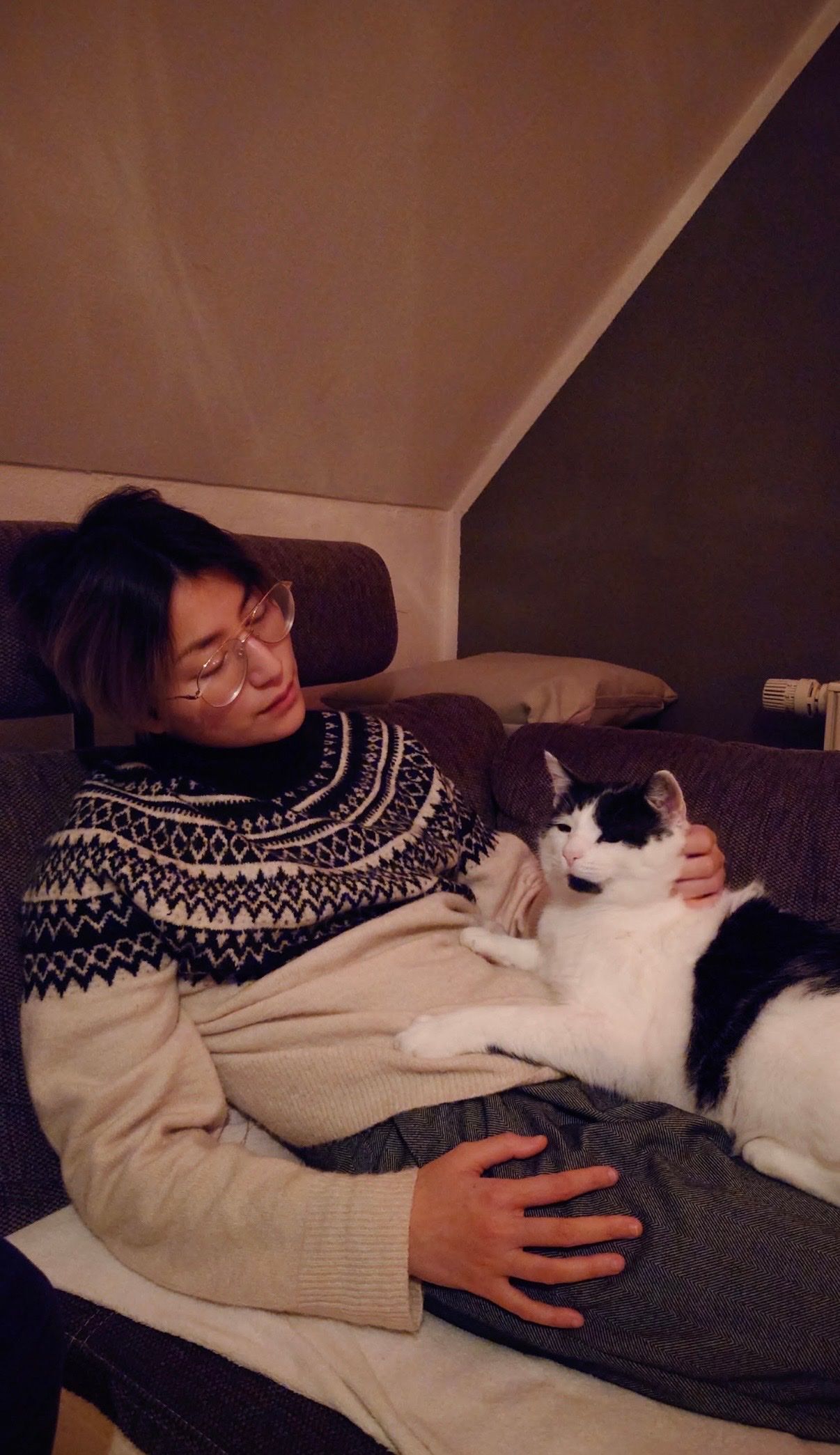 image-7