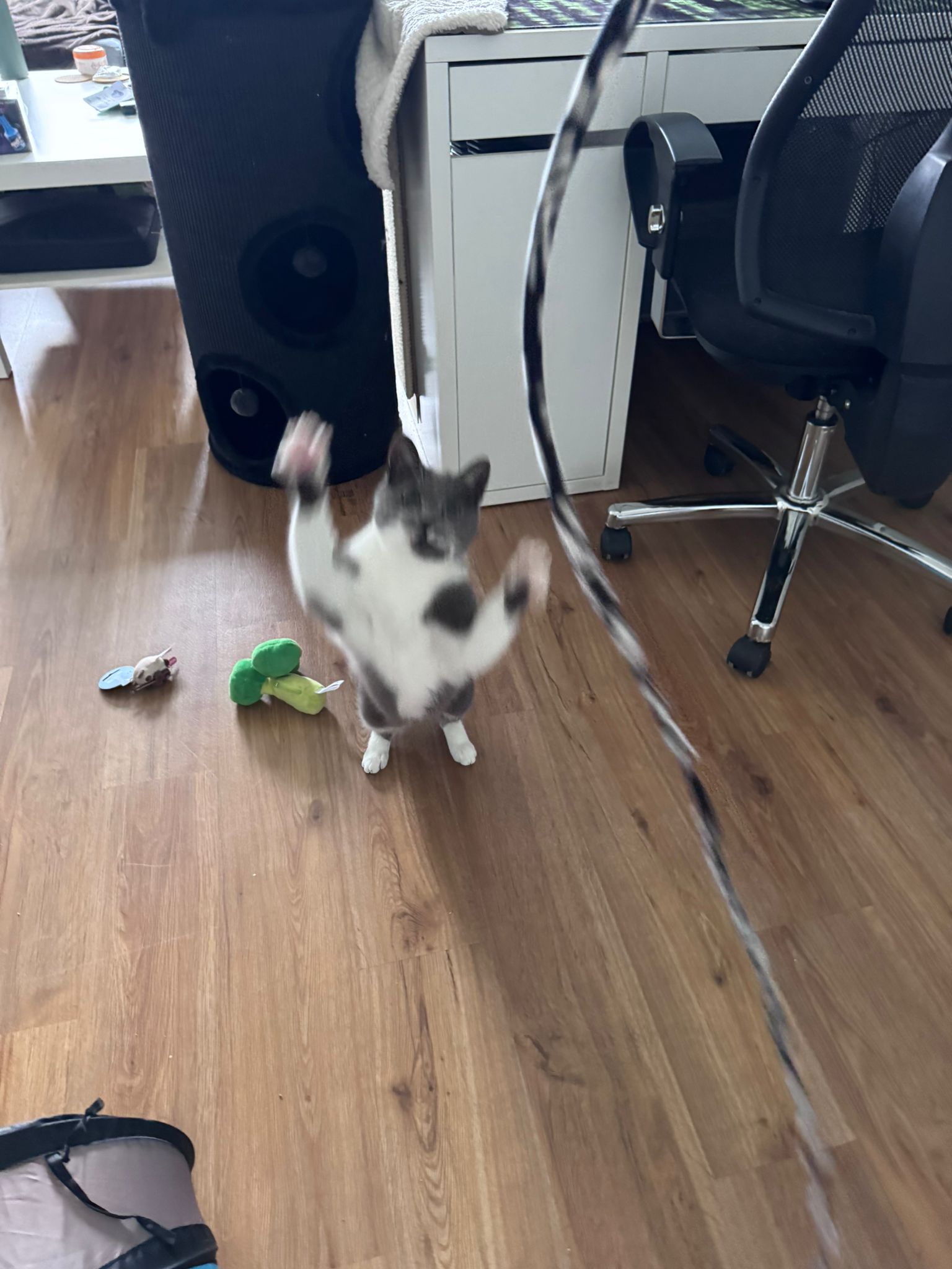 image-9
